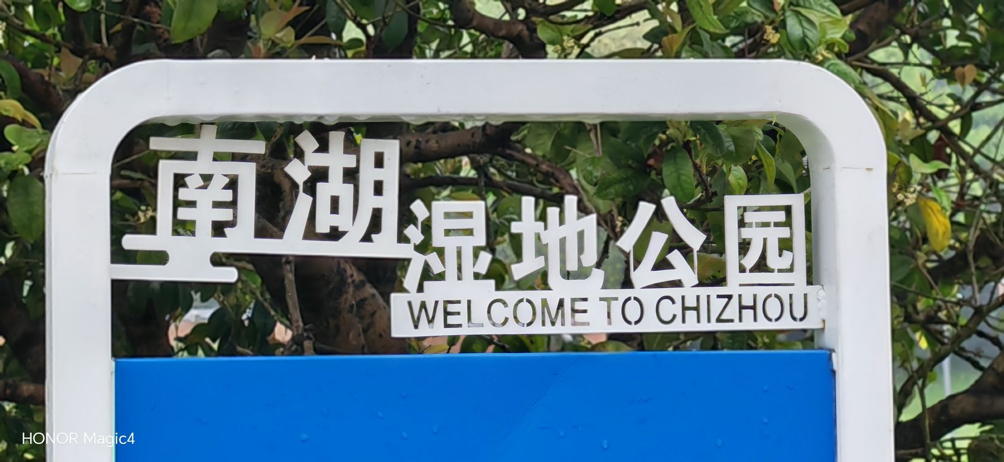 池州生态湿地公园旅行图片 1