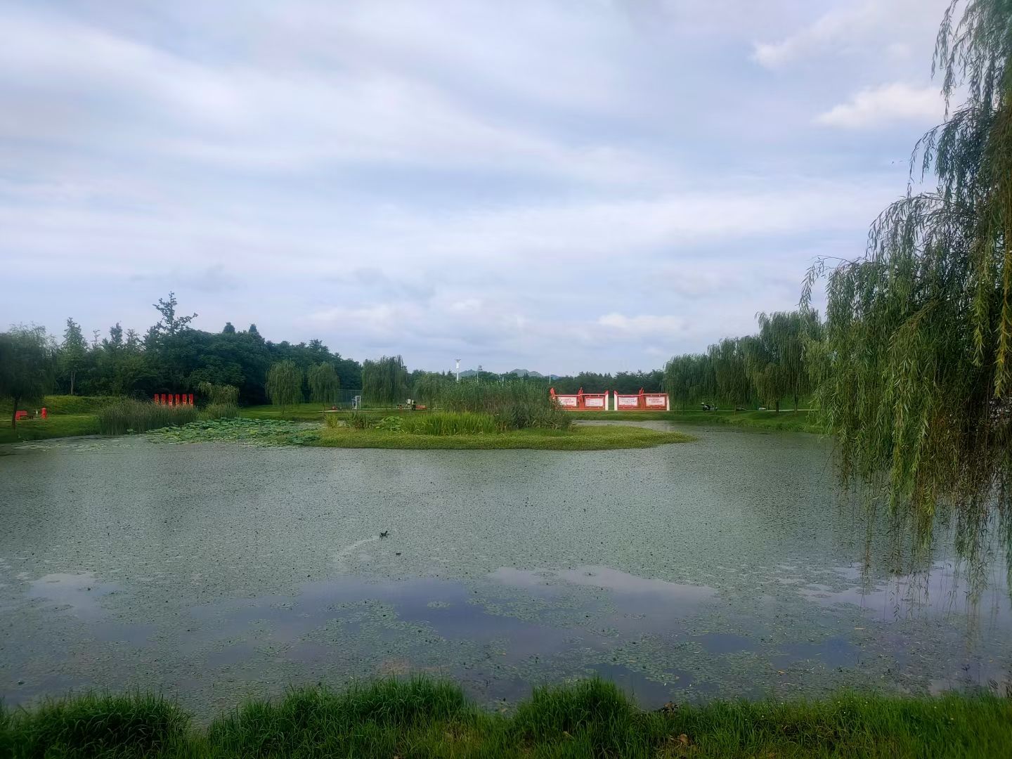 池州生态湿地公园旅行图片 2