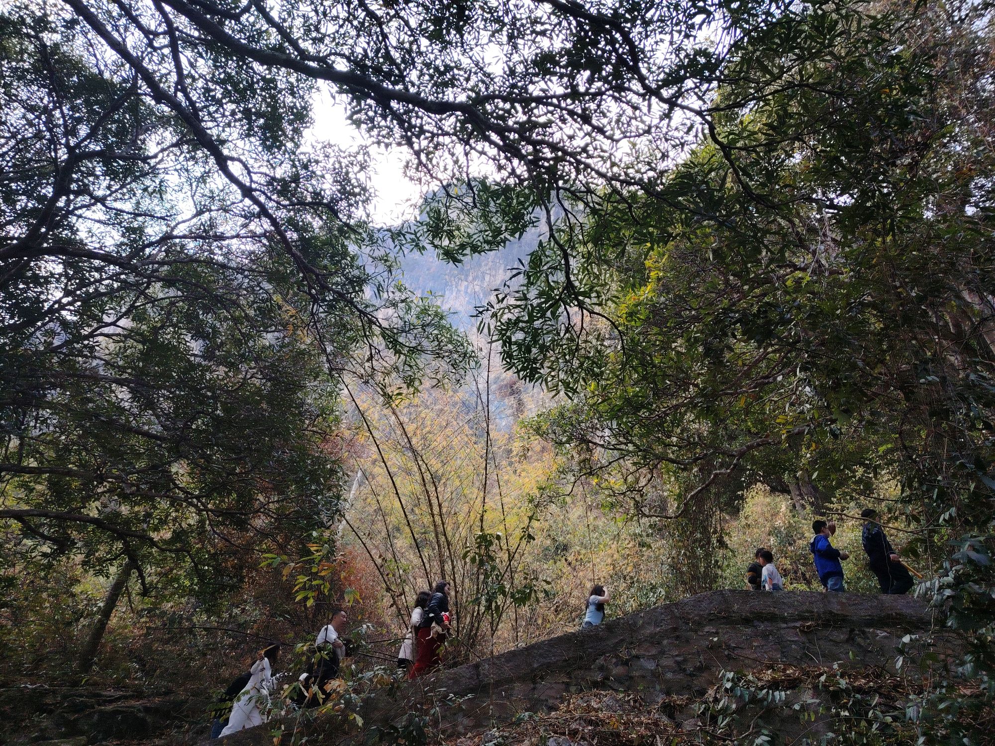 紫霞洞景区旅行图片 1