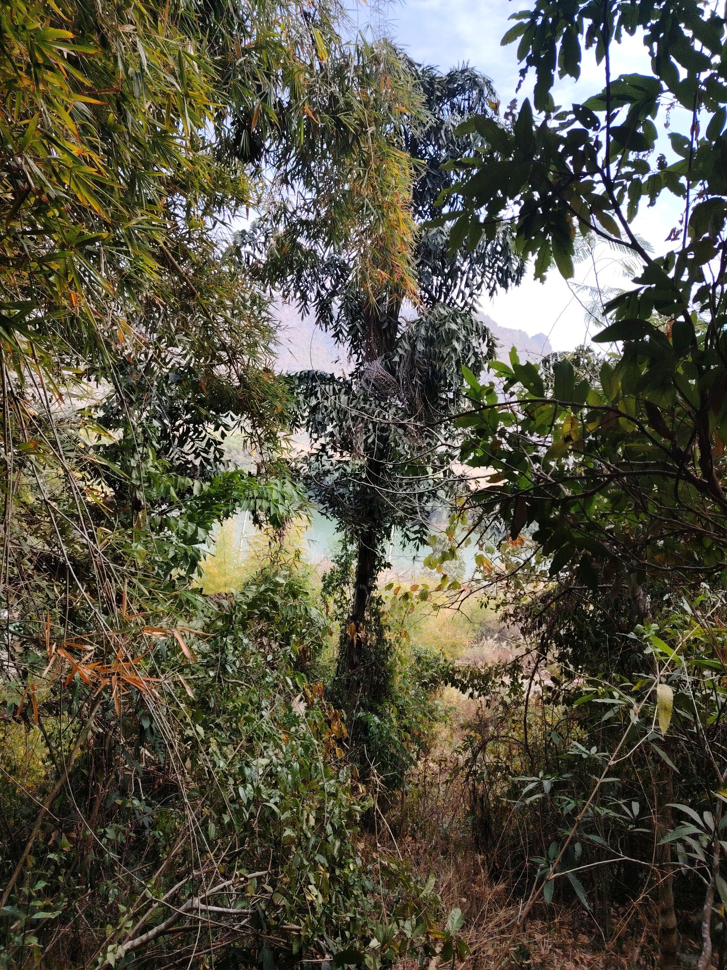 紫霞洞景区旅行图片 2
