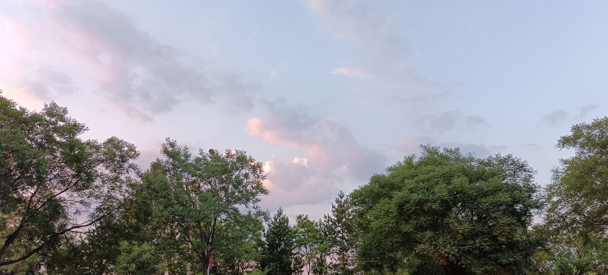 清涟公园旅行图片 1