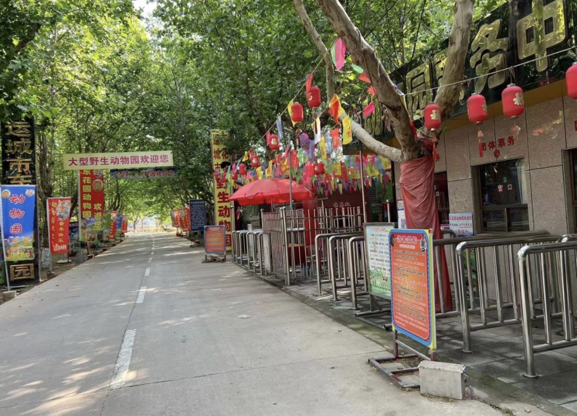 东花园旅行图片 2