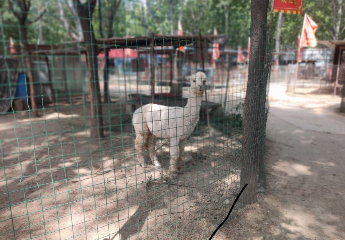 东花园旅行图片 1