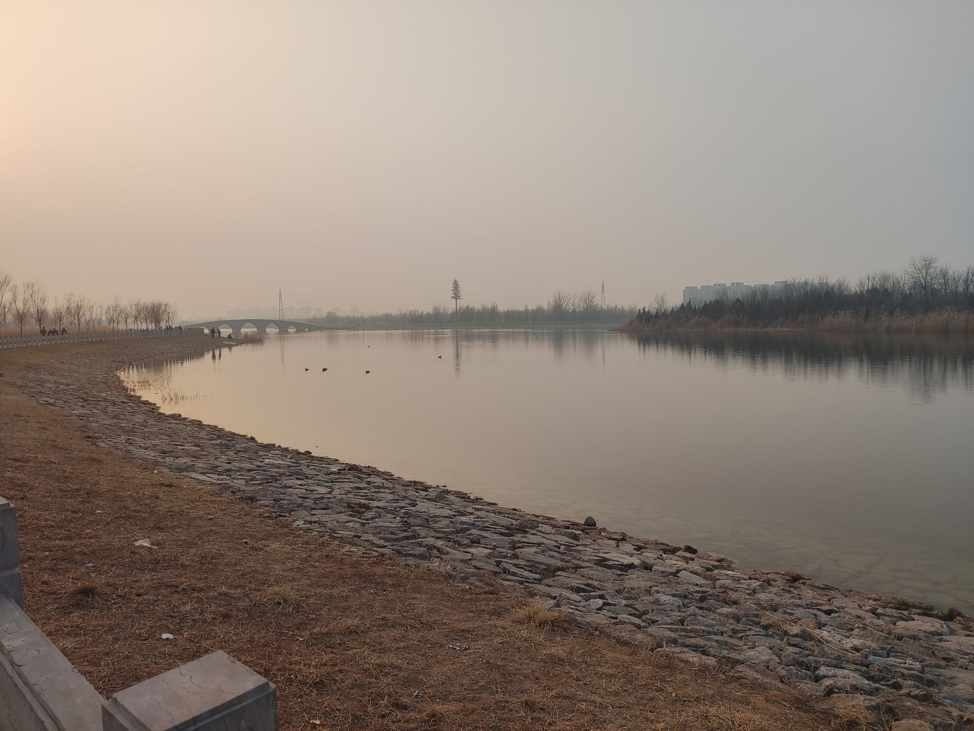 东花园旅行图片 3