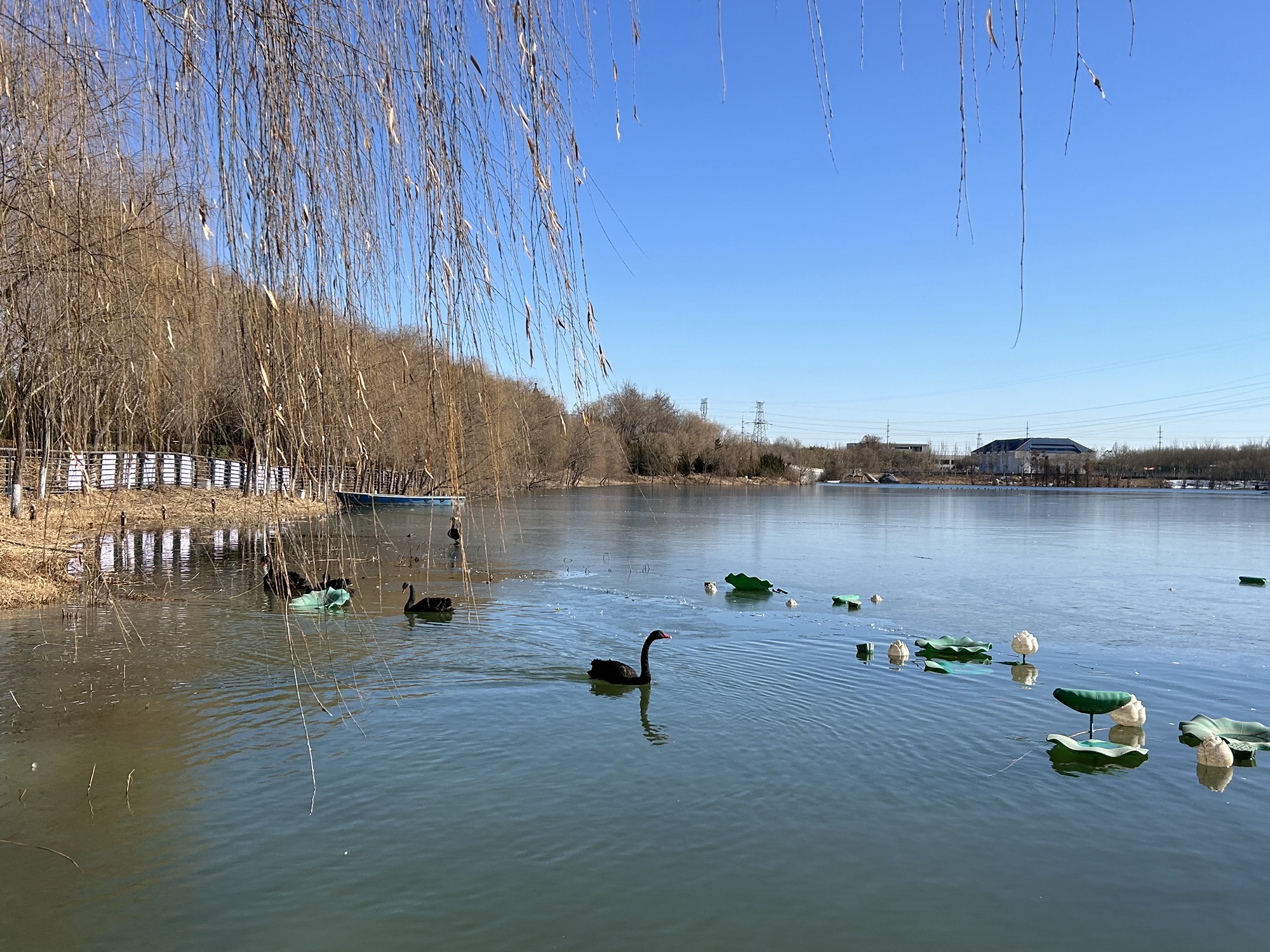 沱阳公园