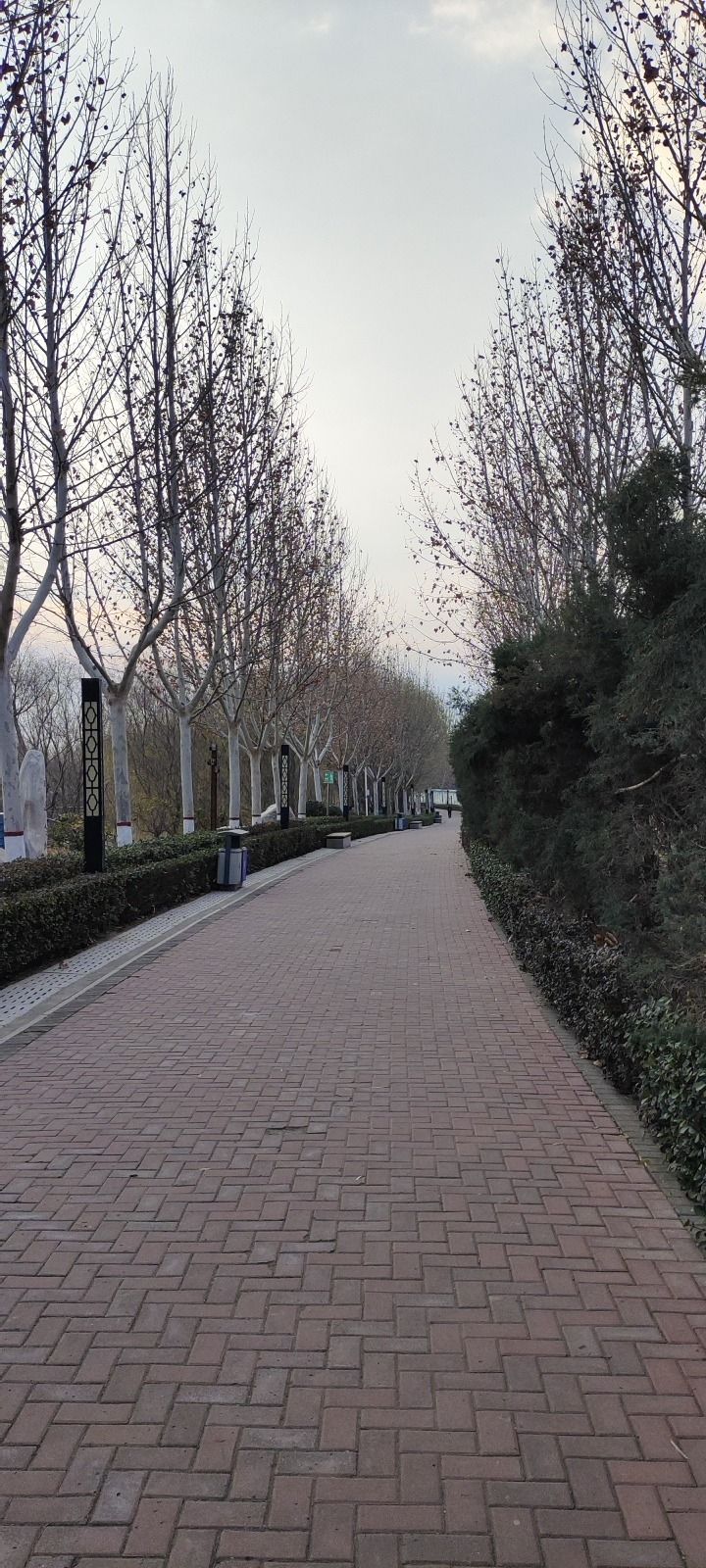 沱阳公园旅行图片 2