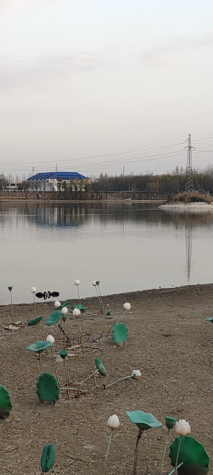 沱阳公园旅行图片 3