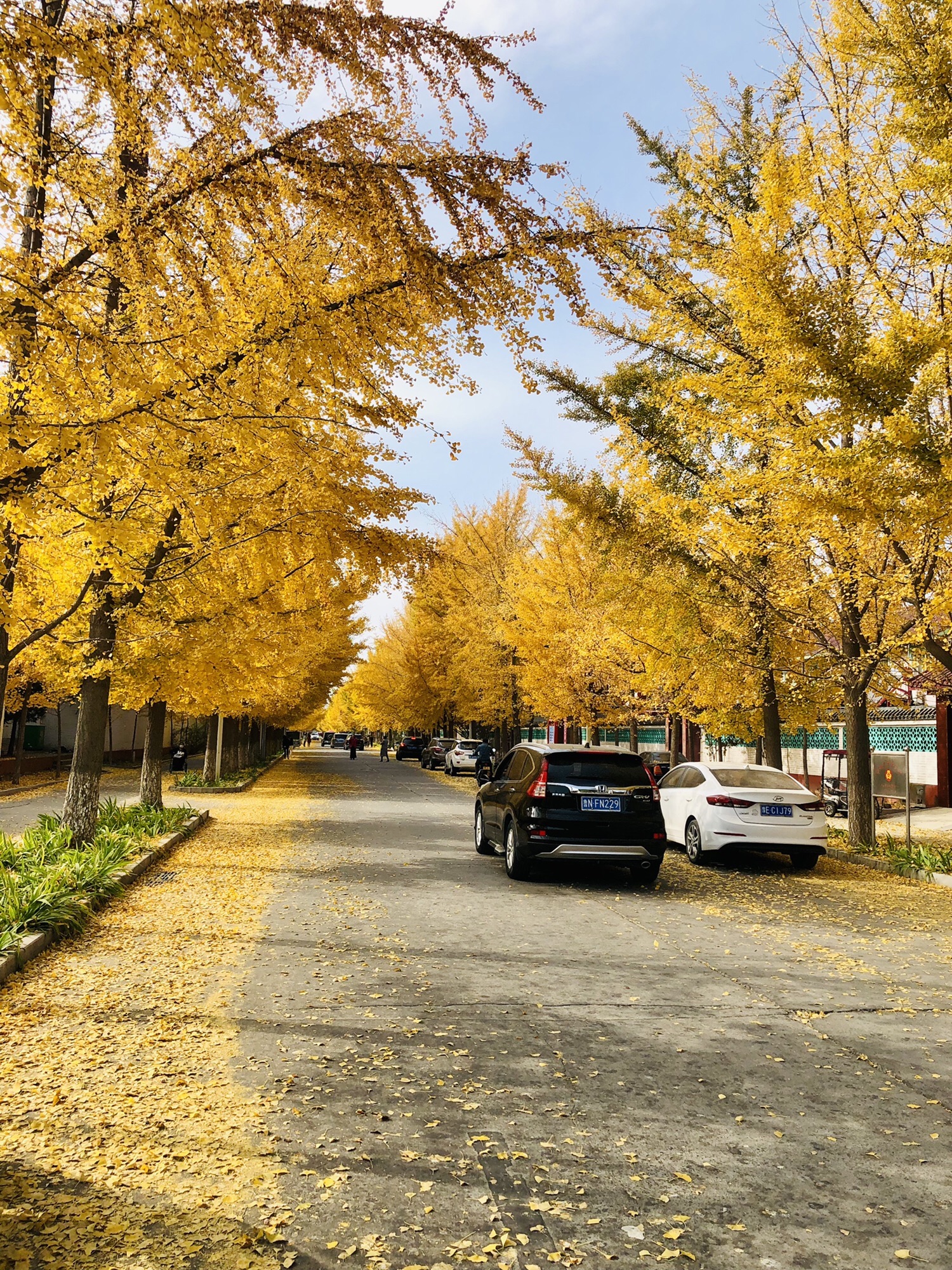 北京韩村河旅游景村旅行图片 3