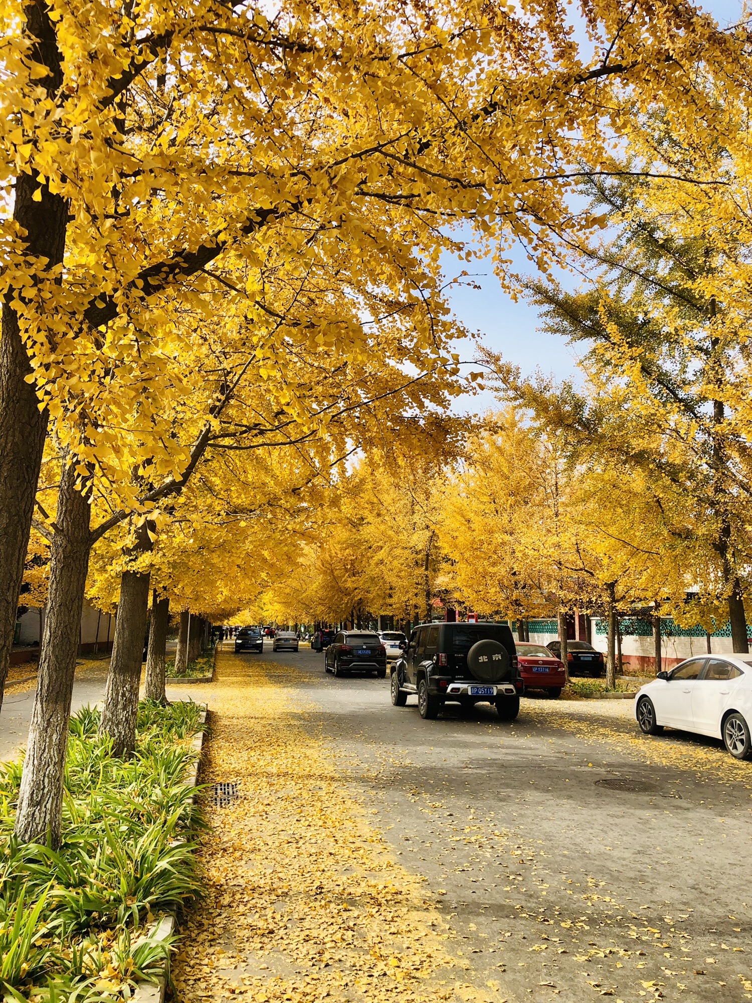北京韩村河旅游景村旅行图片 2