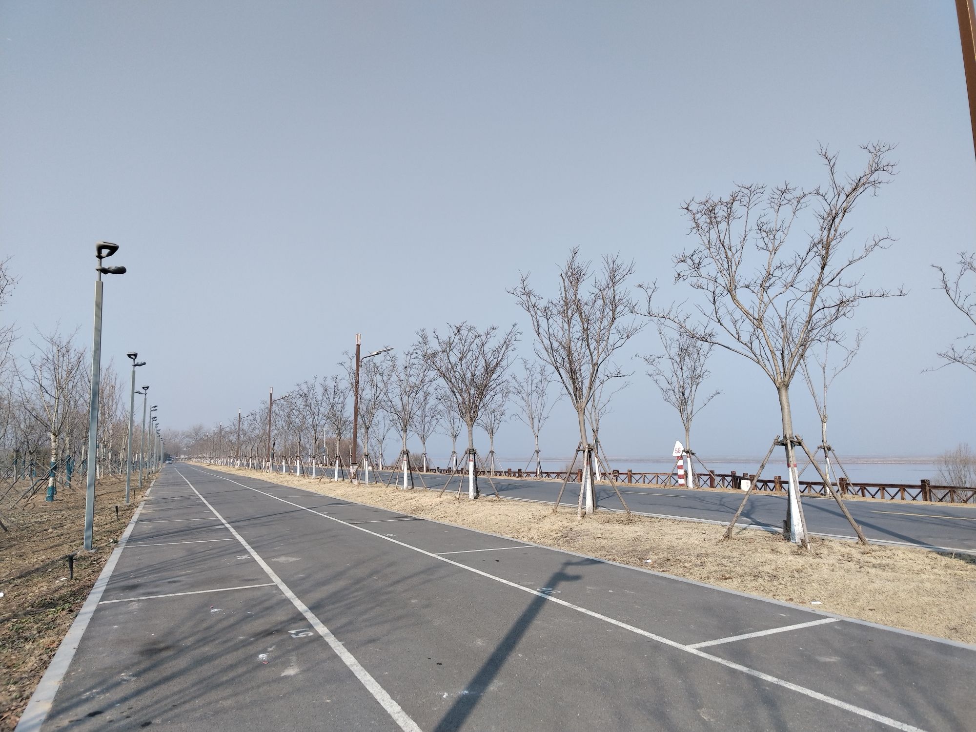 来童寨黄河大堤旅行图片 3