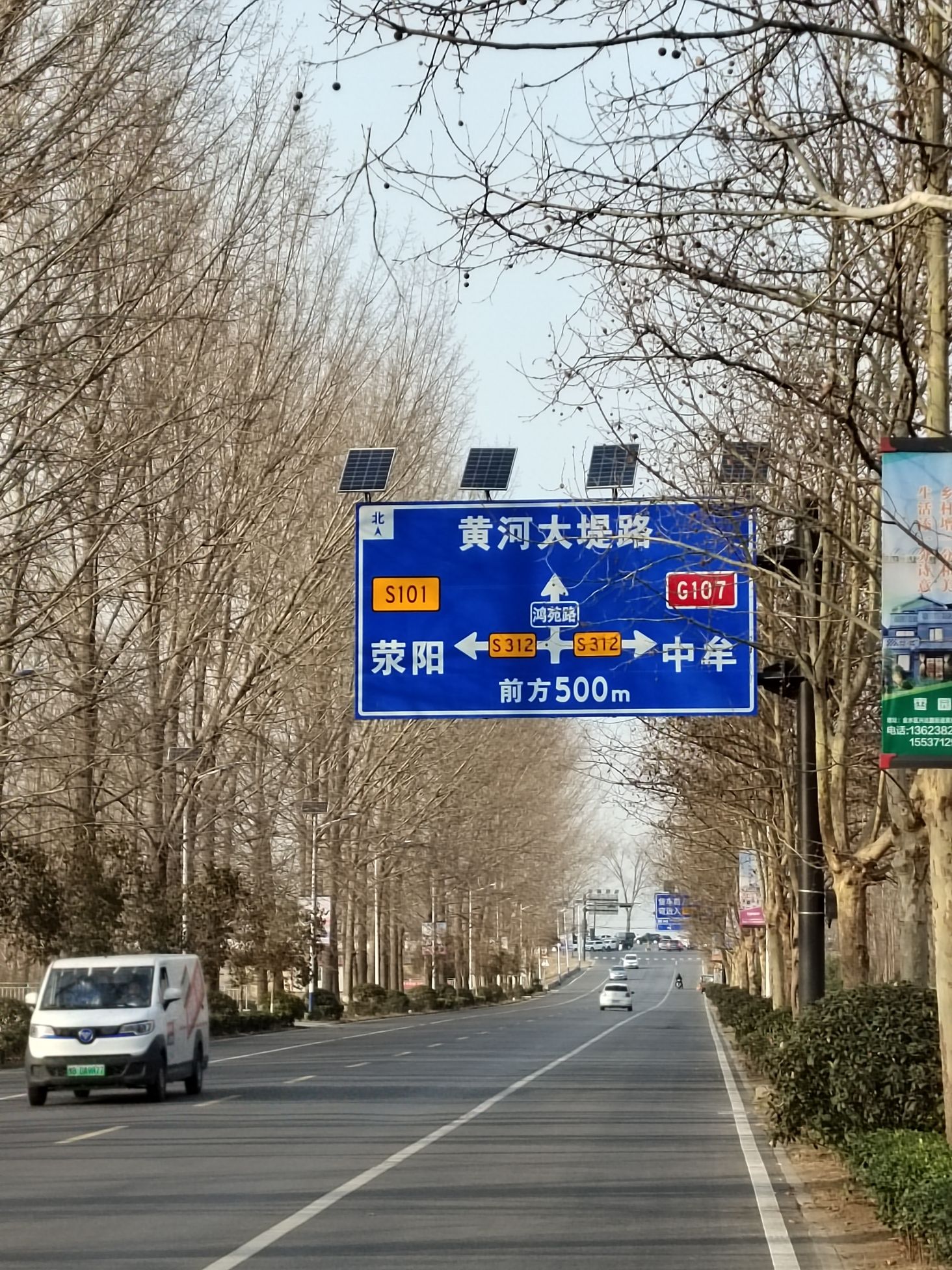 来童寨黄河大堤旅行图片
