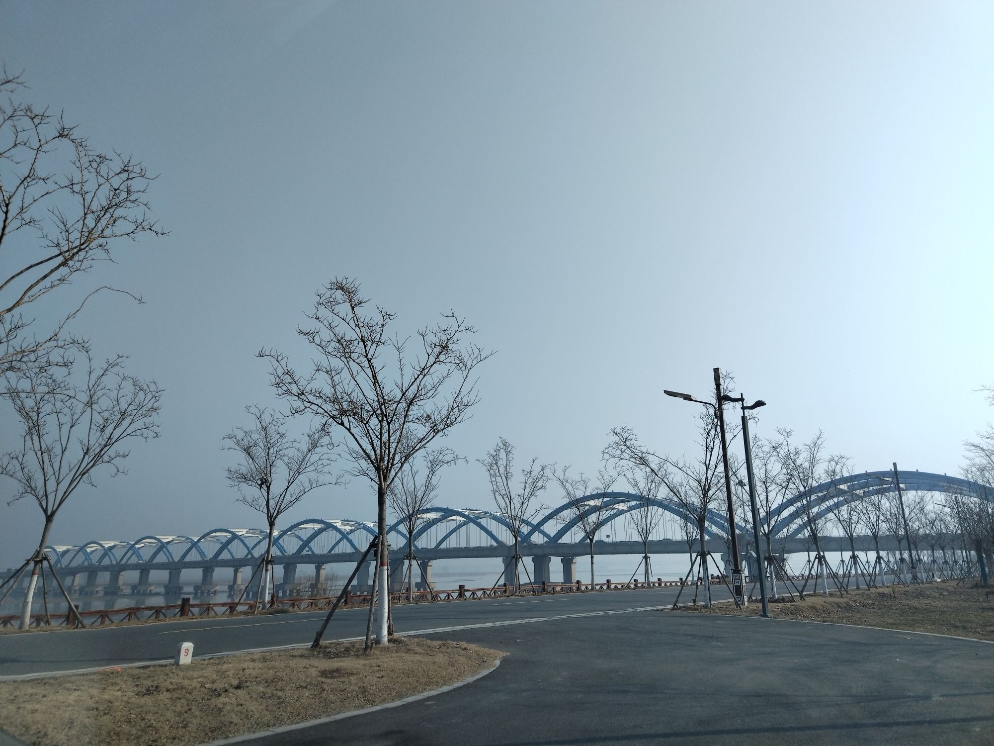 来童寨黄河大堤旅行图片