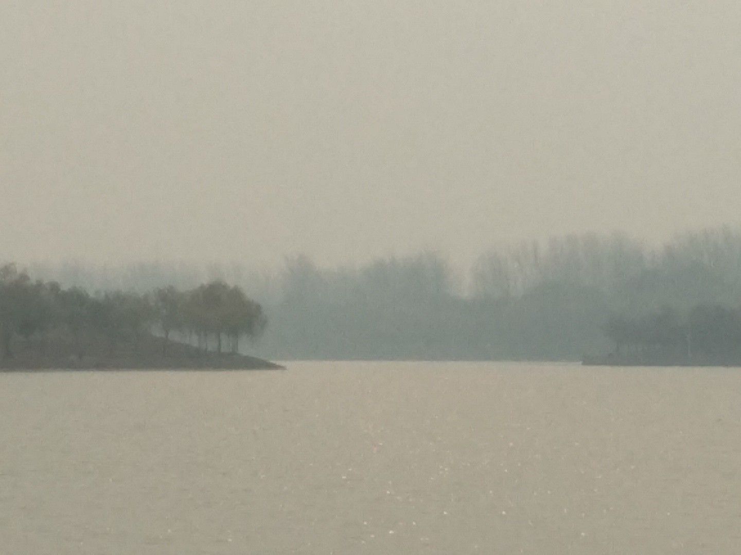来童寨黄河大堤旅行图片 2