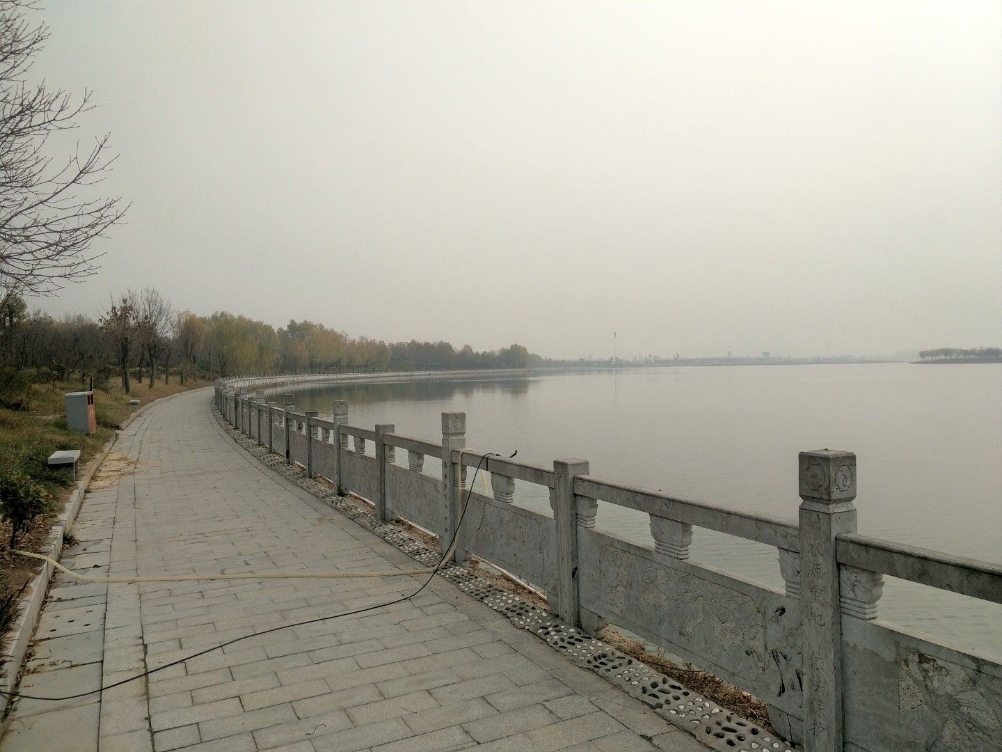 来童寨黄河大堤旅行图片 3