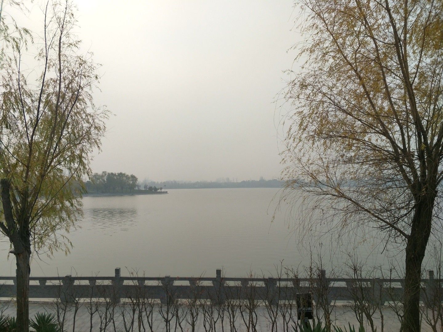 来童寨黄河大堤旅行图片