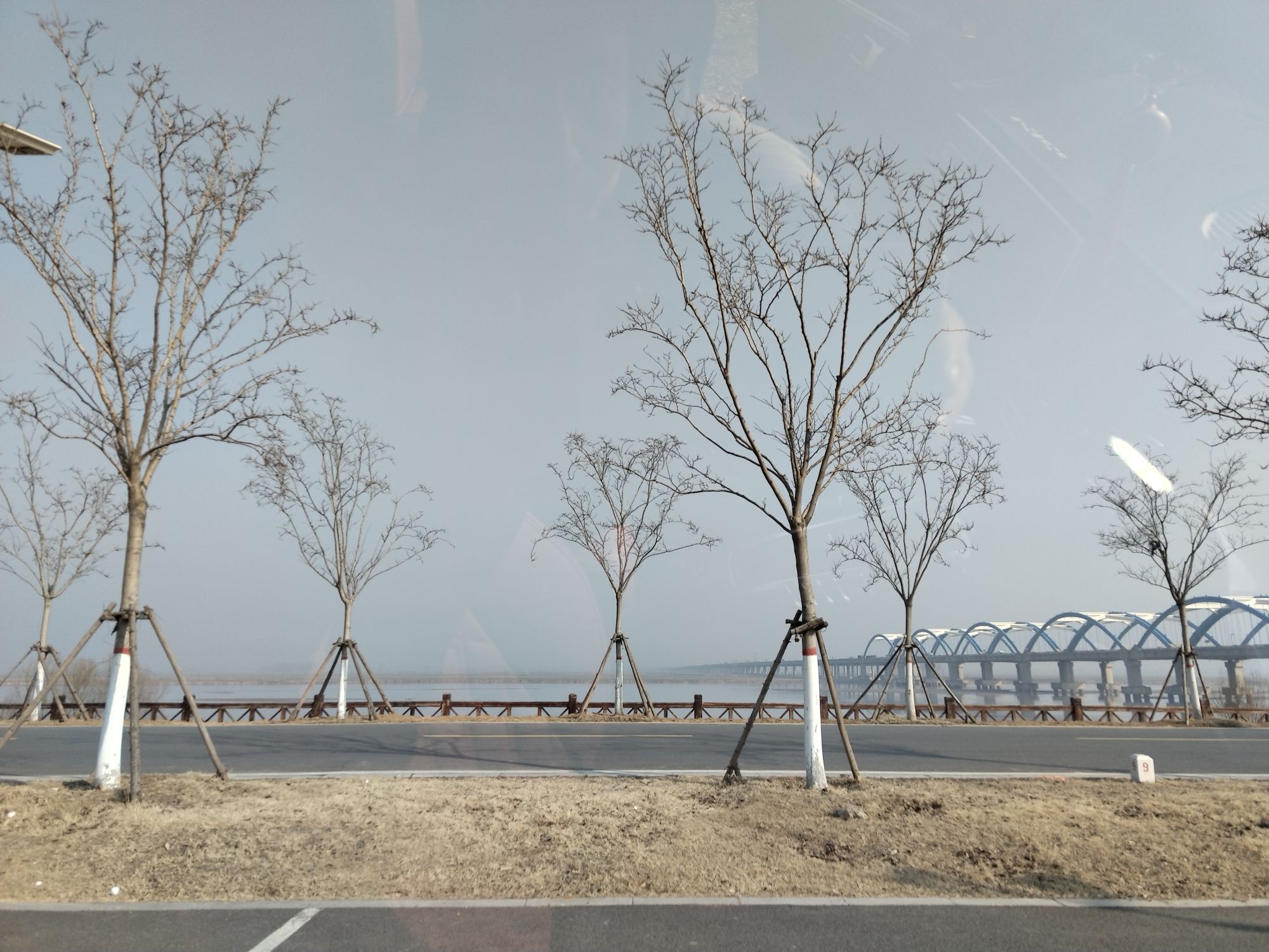 来童寨黄河大堤旅行图片 2