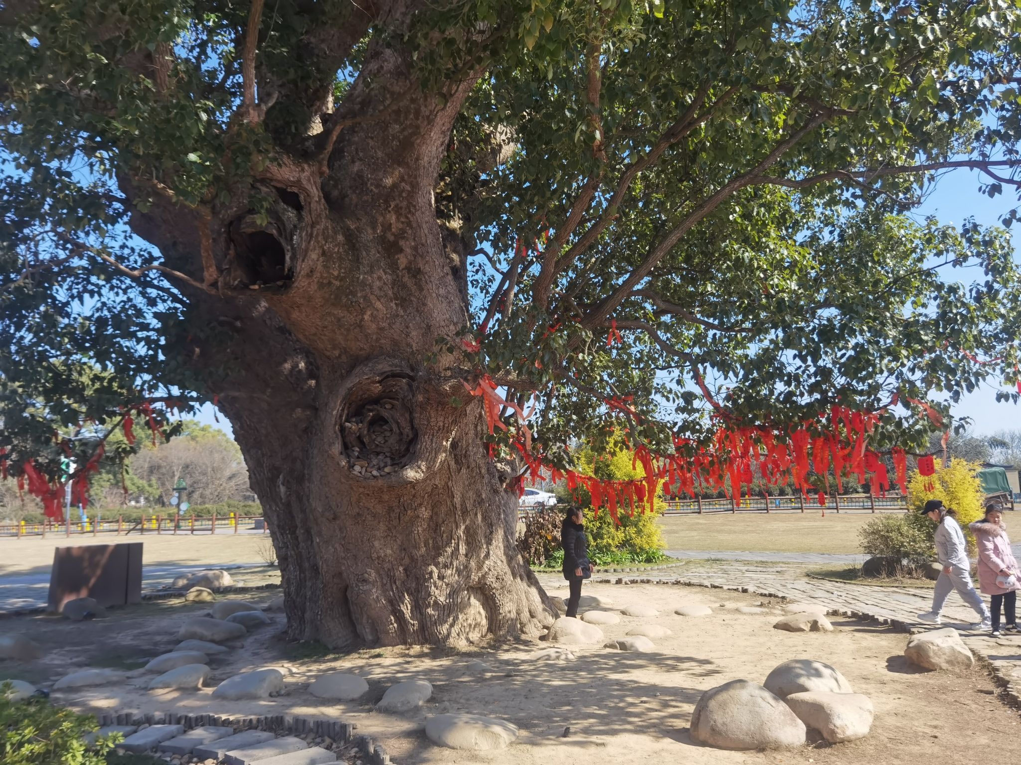 蜀口生态岛旅行图片 3