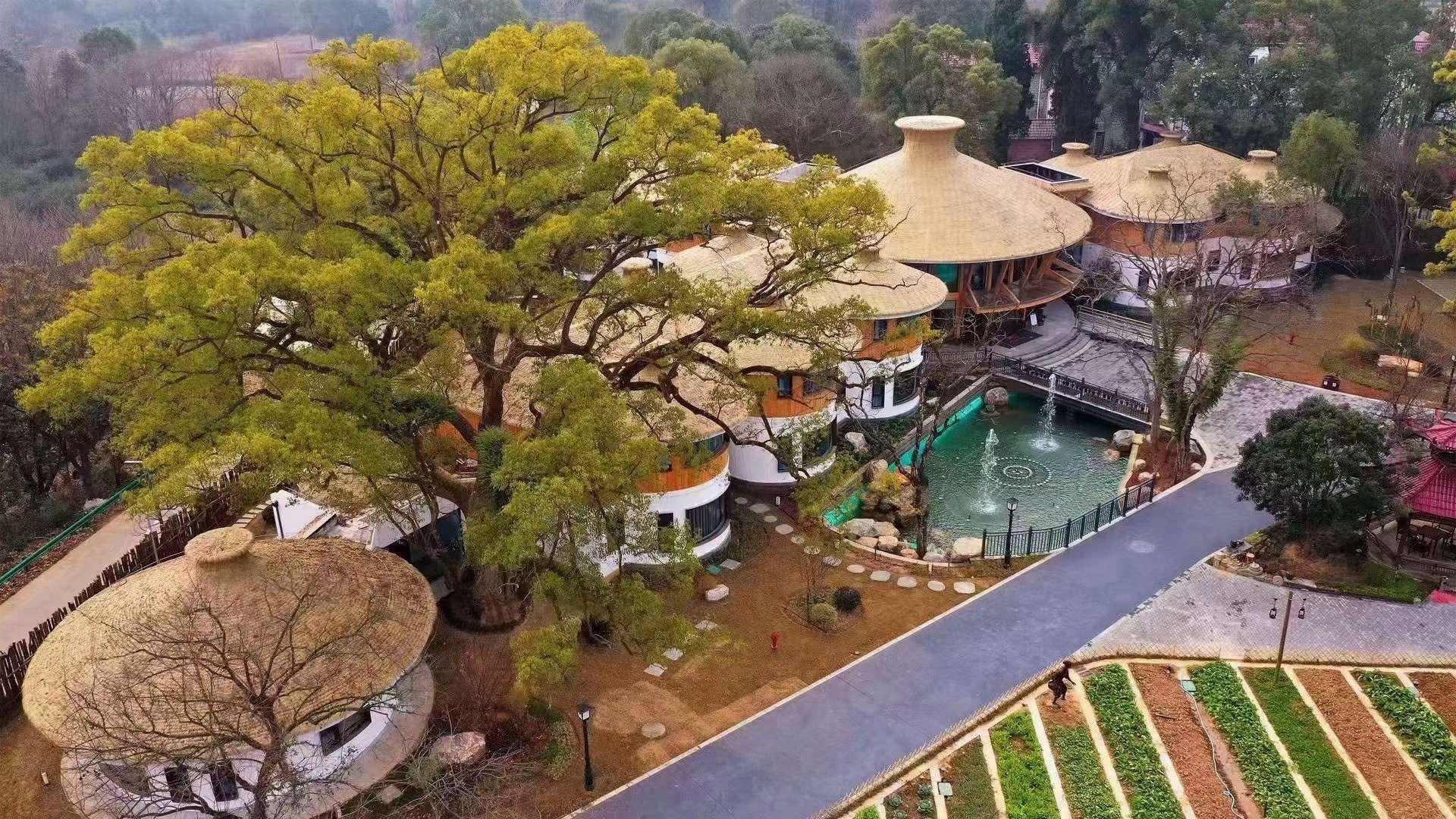 蜀口生态岛旅行图片 2