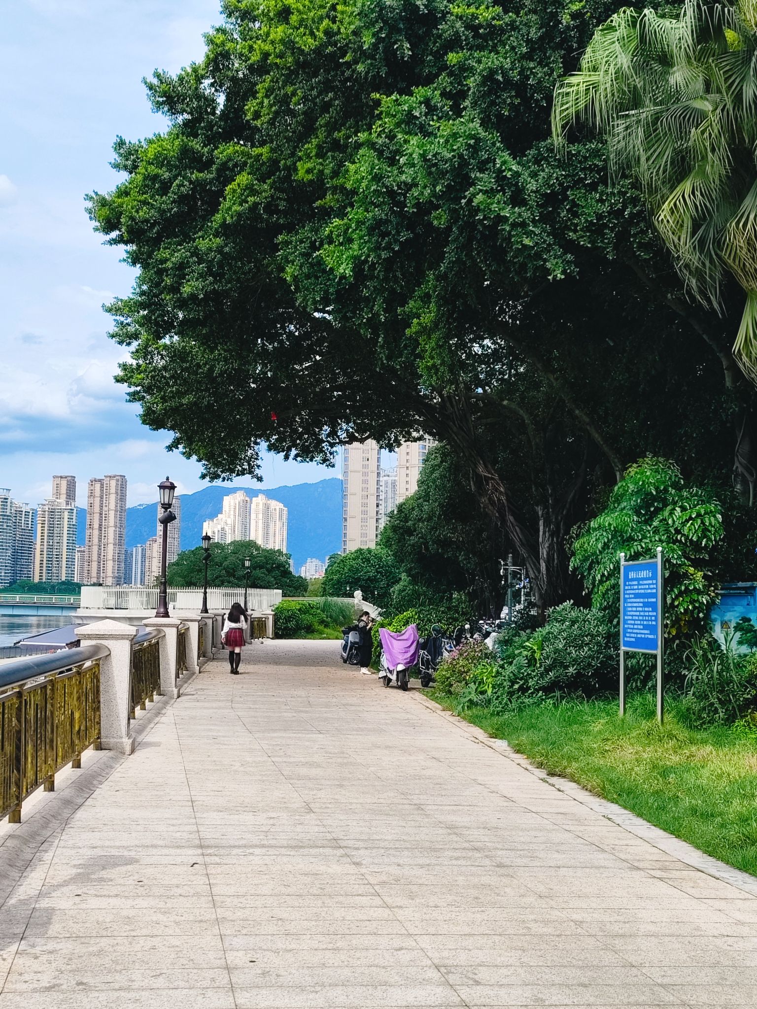 仓前公园旅行图片 3