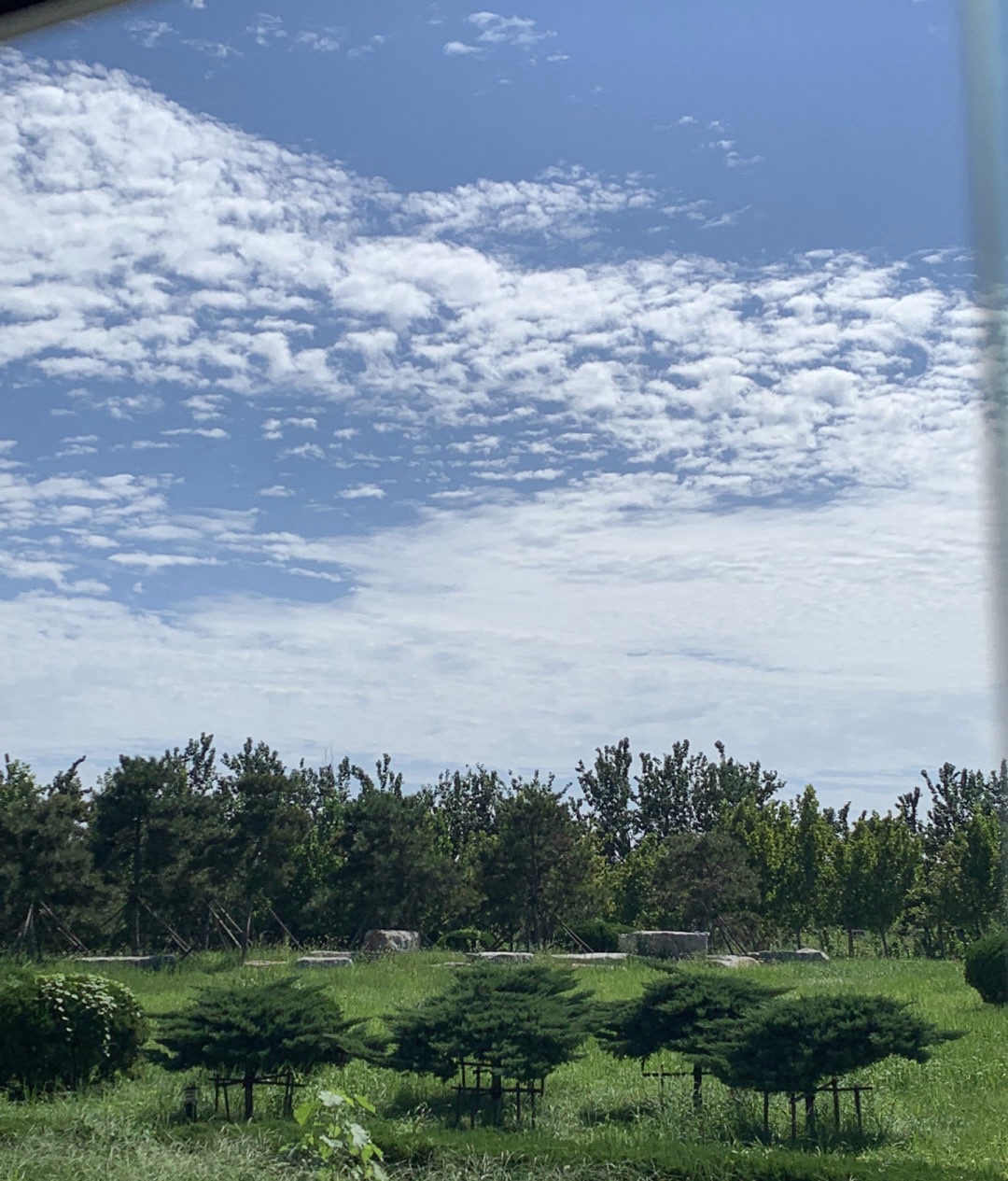 黄河岛旅行图片 3