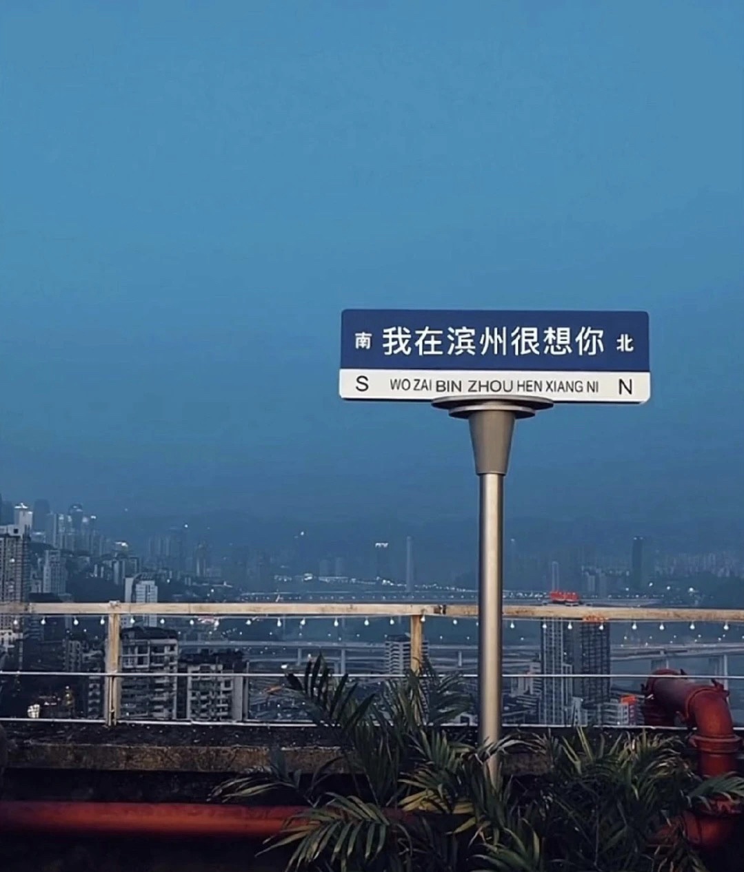 黄河岛旅行图片 1