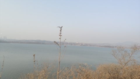 白沙湖旅行图片 2