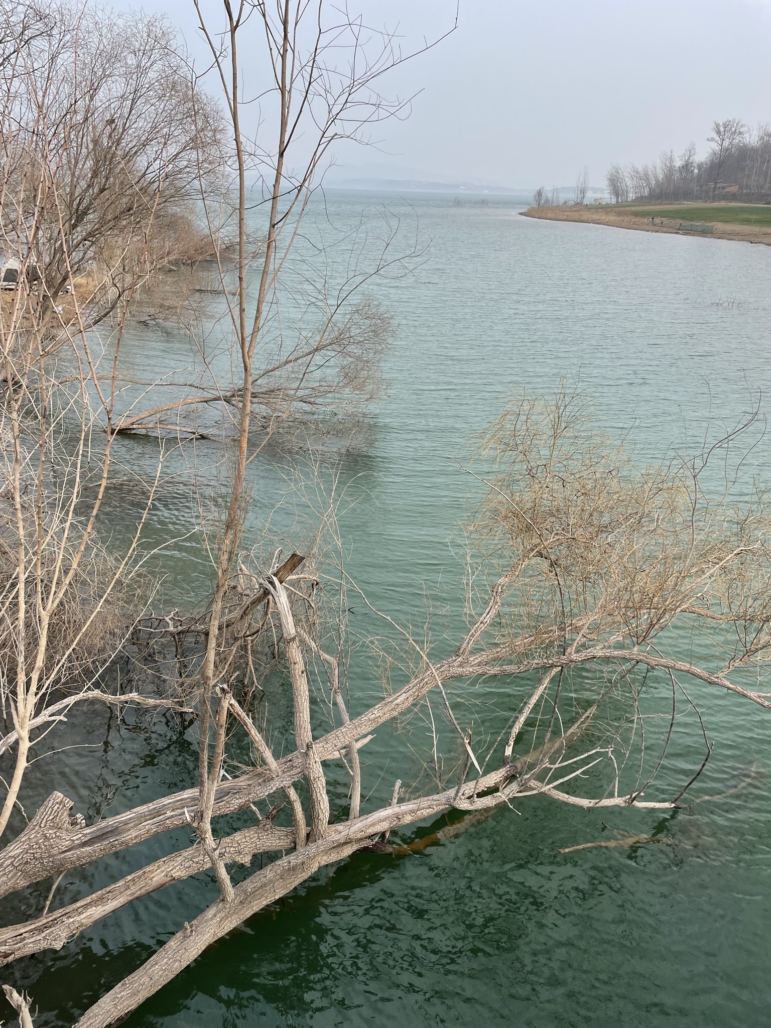 白沙湖旅行图片 2