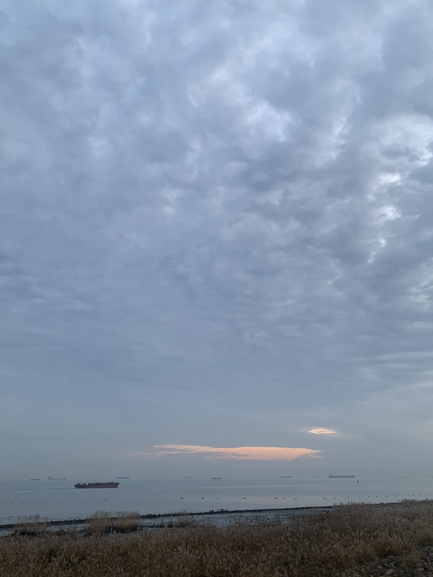 浏河阅兵台旅行图片 3