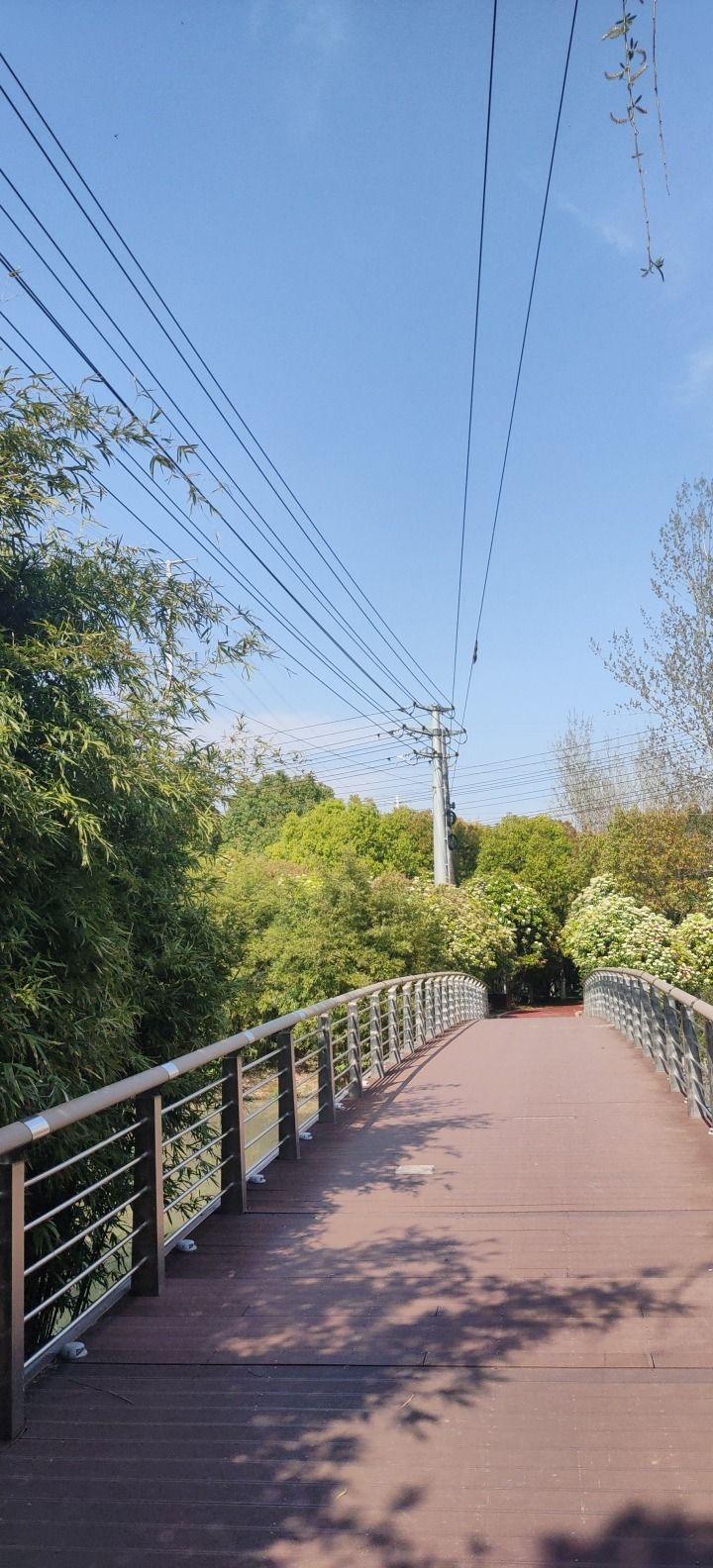 城北湿地公园旅行图片 1
