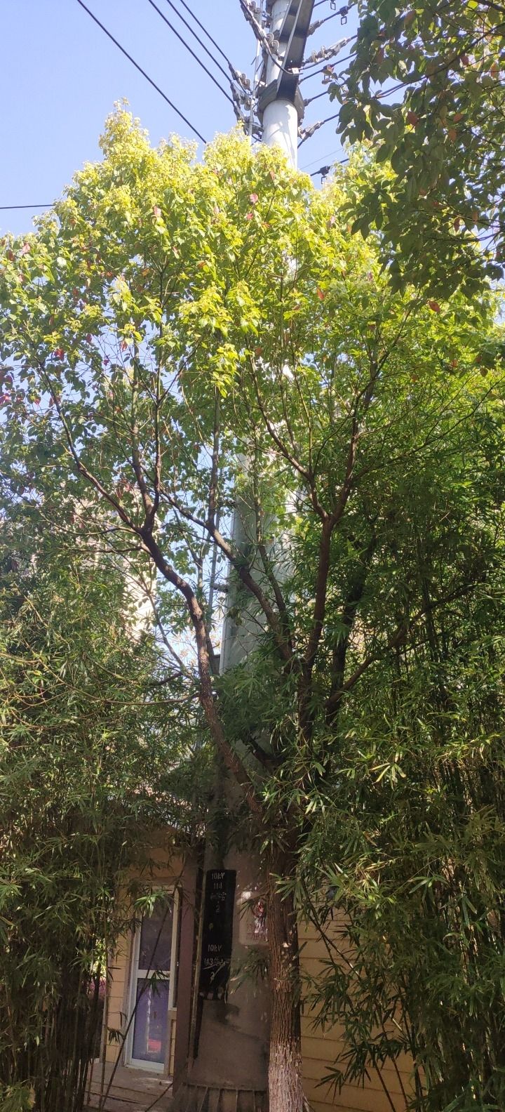 城北湿地公园旅行图片 3