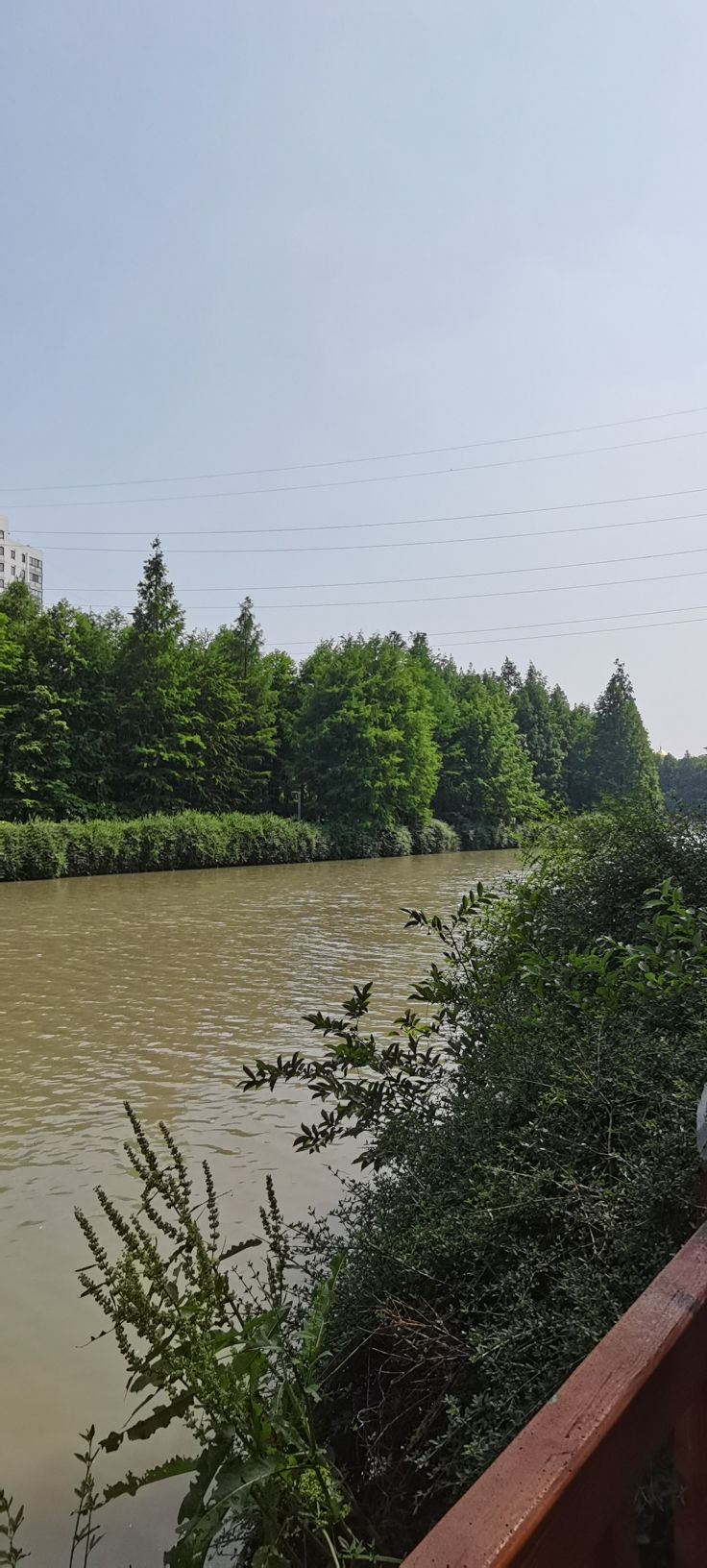 城北湿地公园旅行图片 2