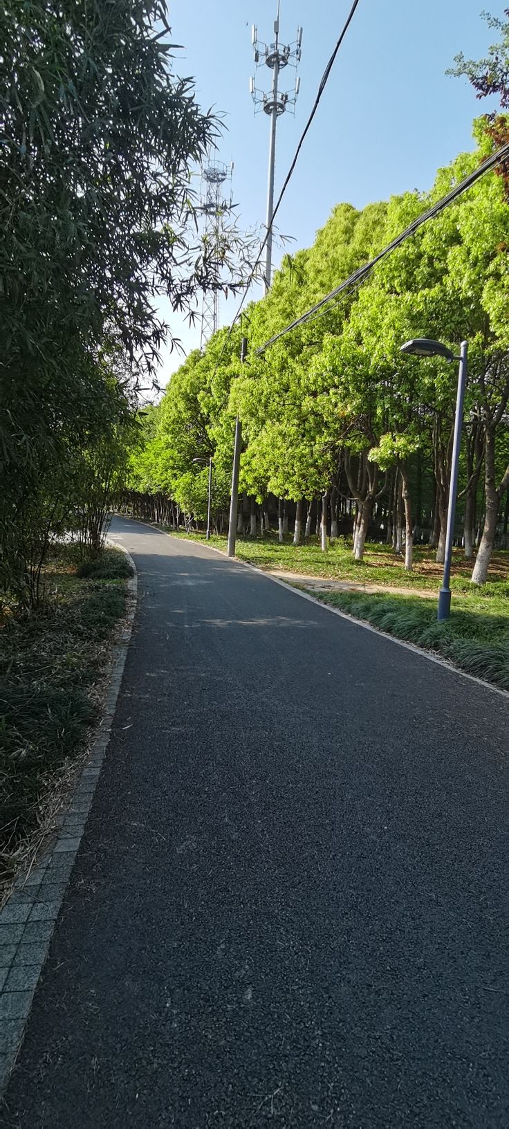 城北湿地公园旅行图片 3