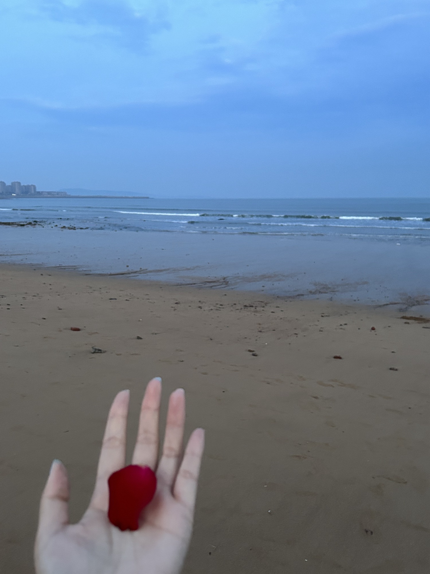 世茂滨海公园旅行图片 2