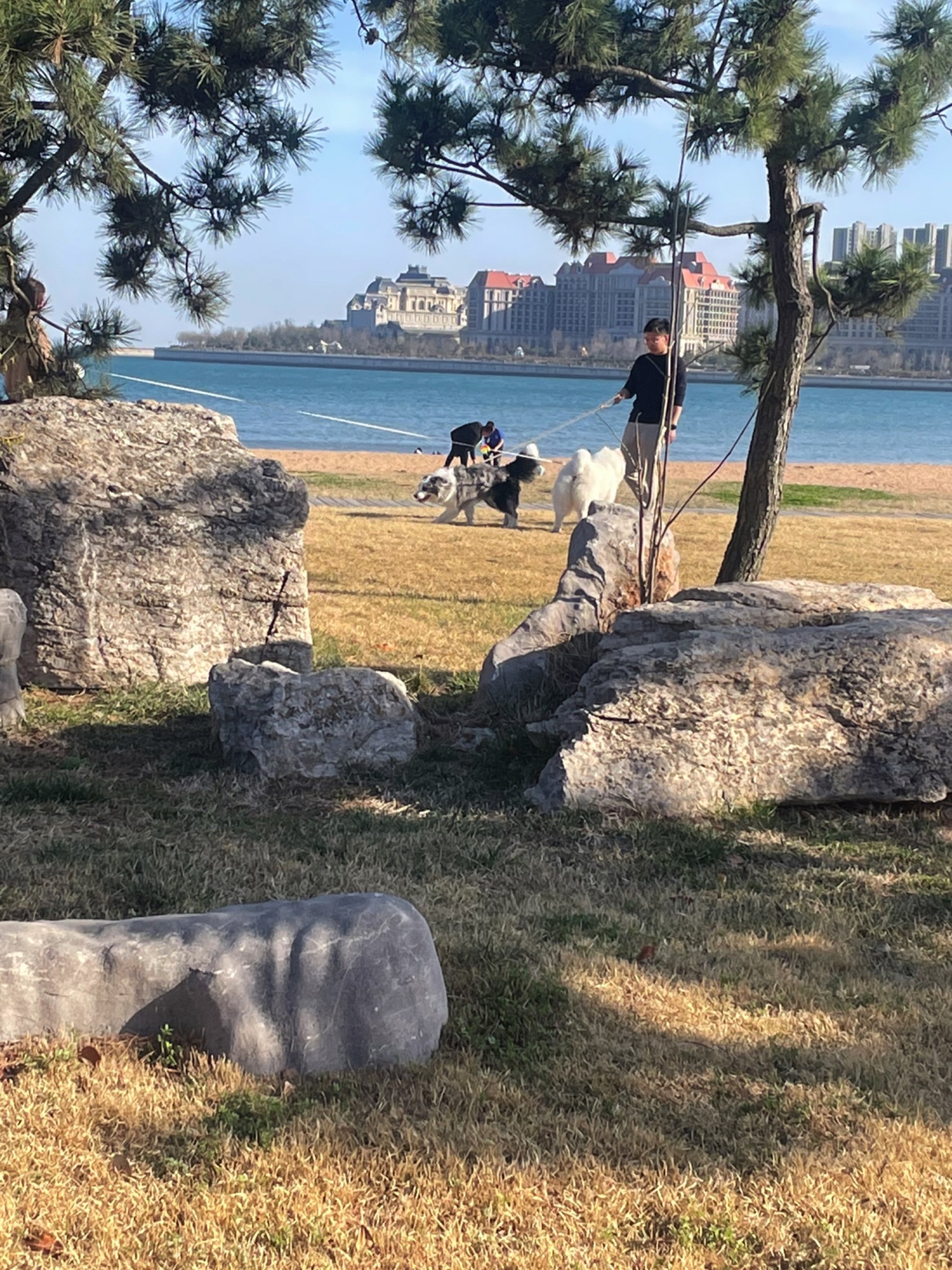 世茂滨海公园旅行图片 2