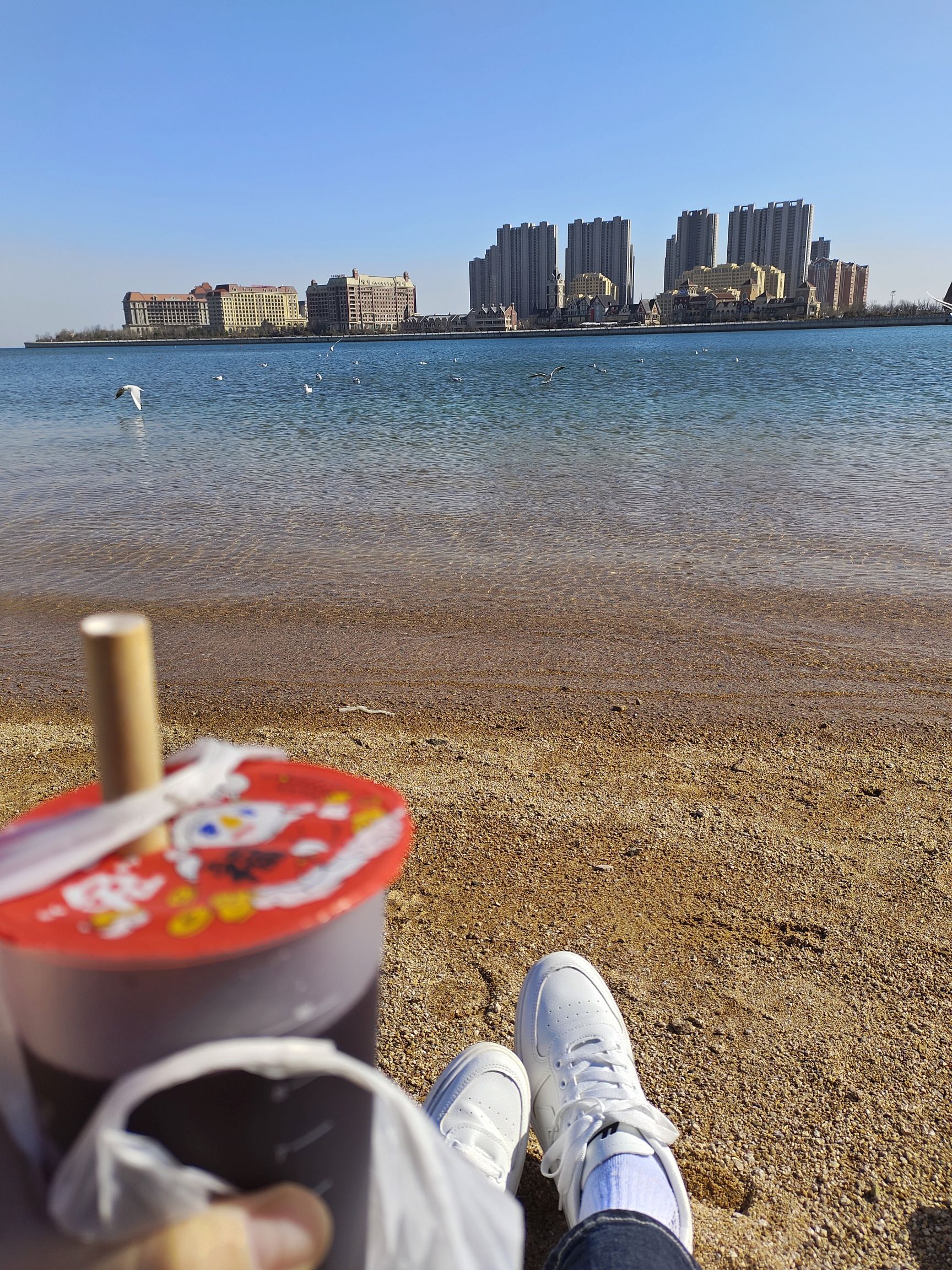 世茂滨海公园旅行图片 3