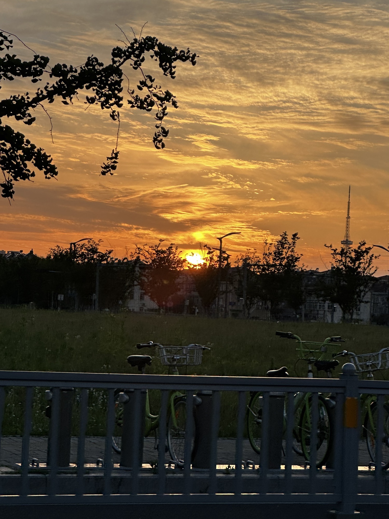 苏州五龙桥公园旅行图片 2