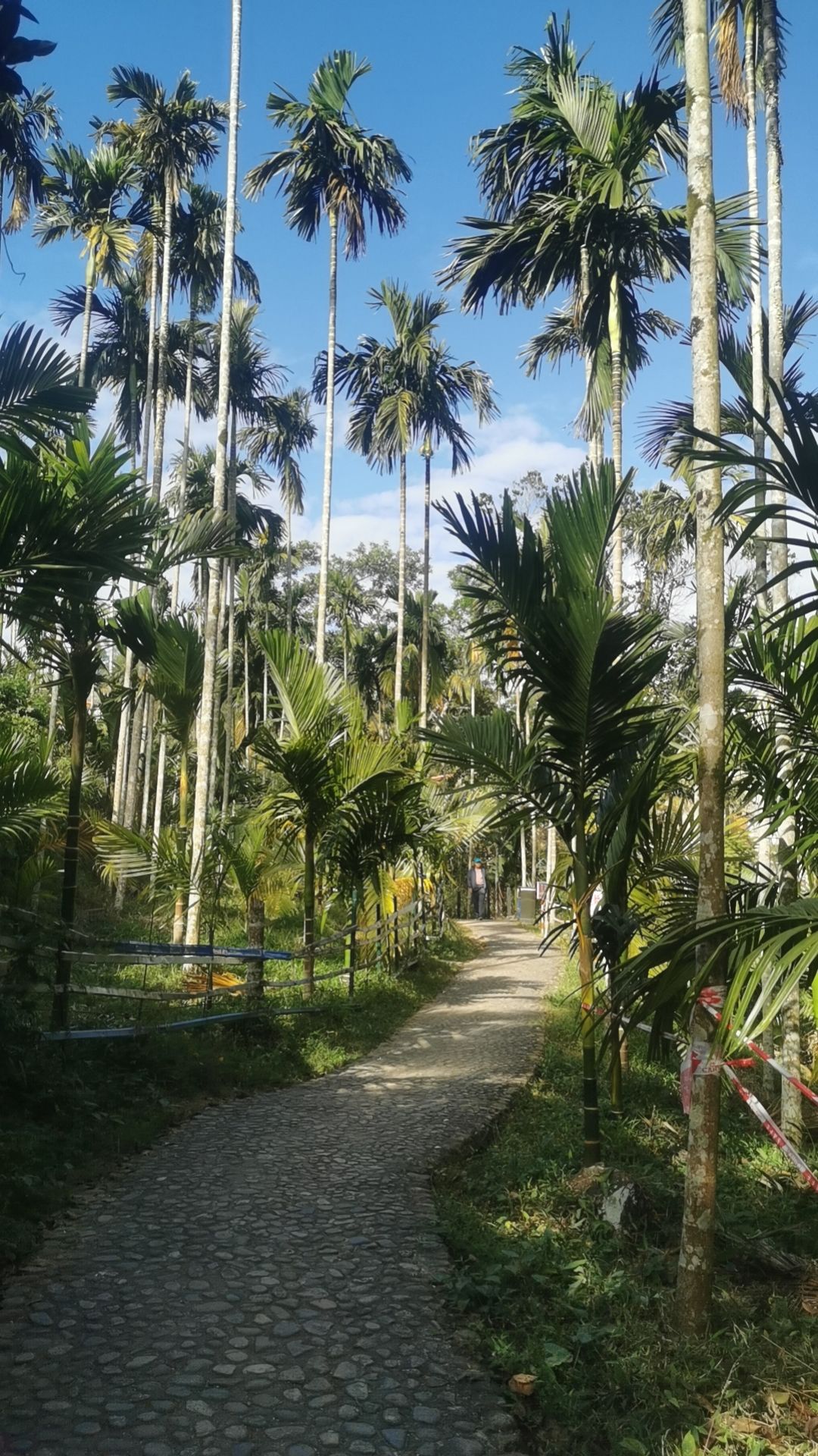 翡翠公园
