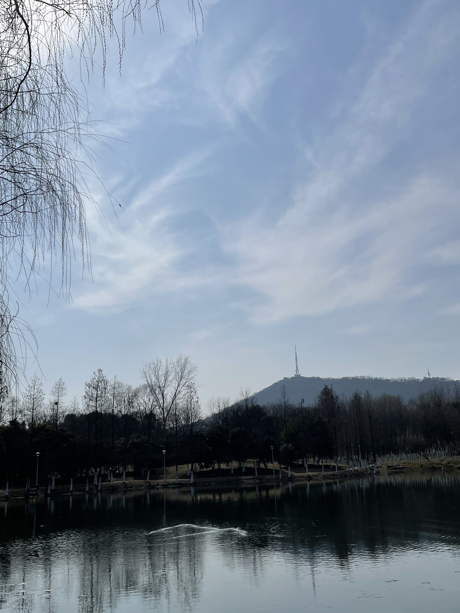 蜀峰湾体育公园旅行图片 2