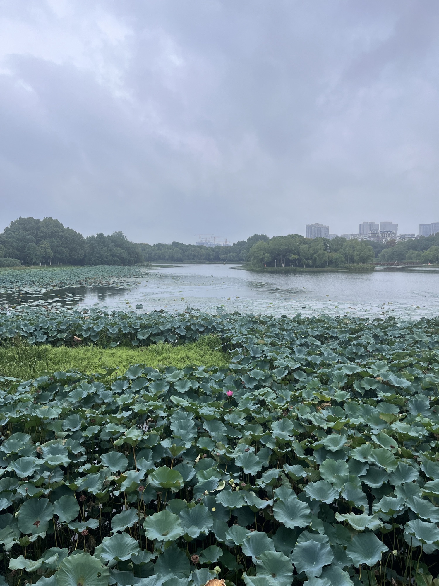 蜀峰湾体育公园旅行图片 1