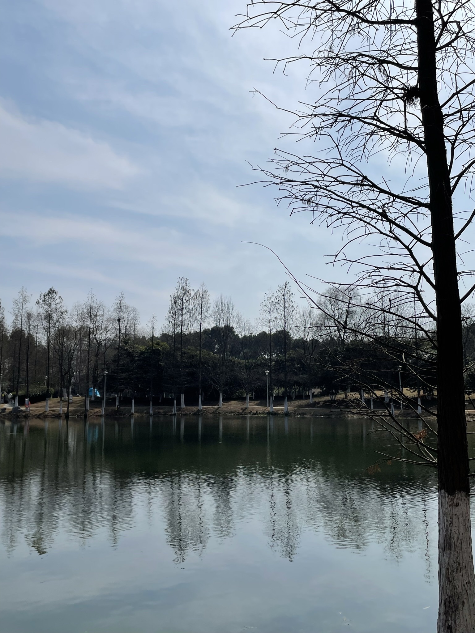 蜀峰湾体育公园旅行图片 3