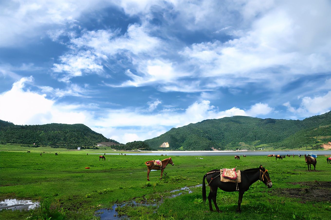 Wenhai (Under construction)