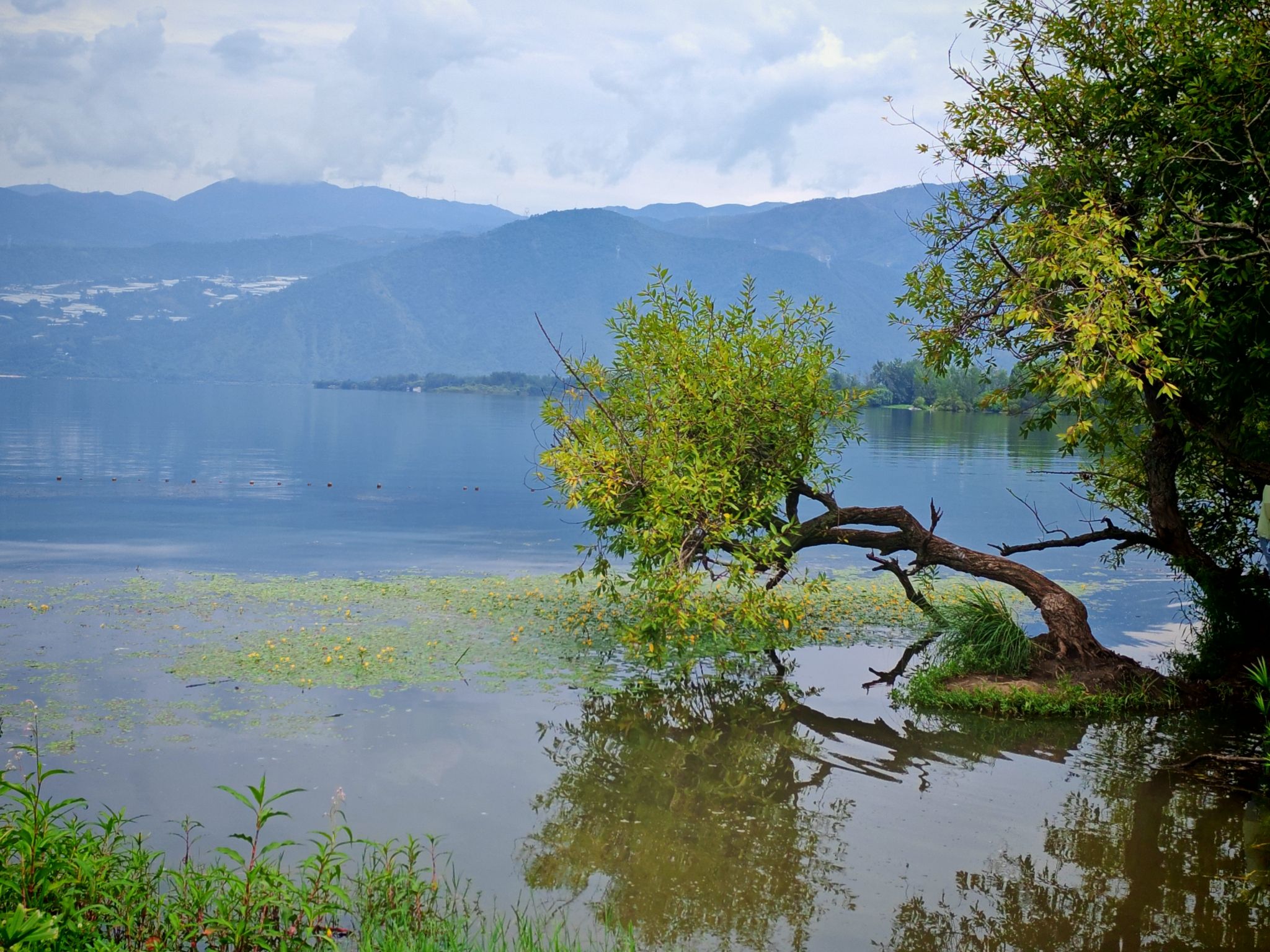 凉山邛海 景点照片