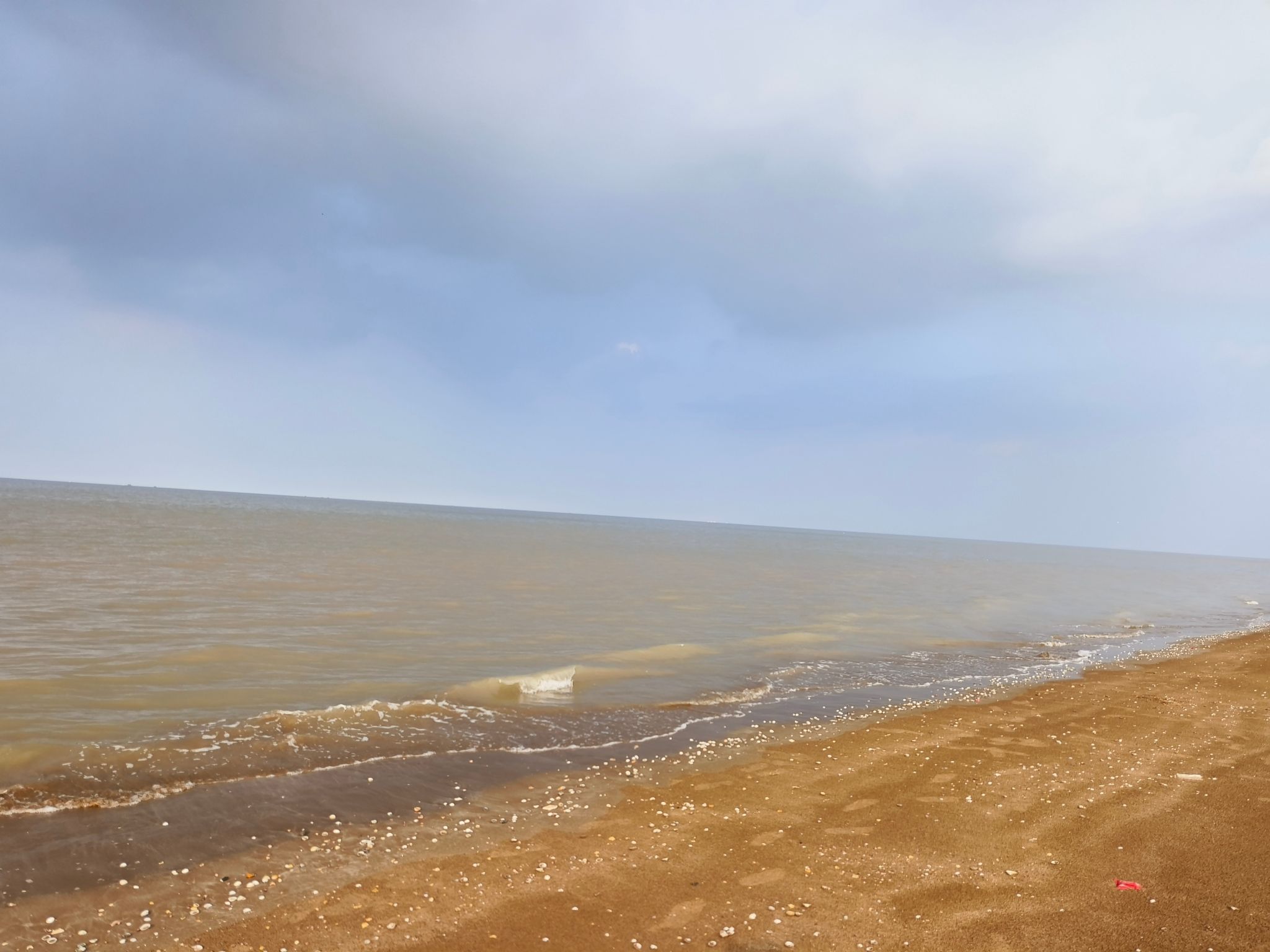 滨州贝壳堤岛与湿地国家级自然保护区旅行图片 2