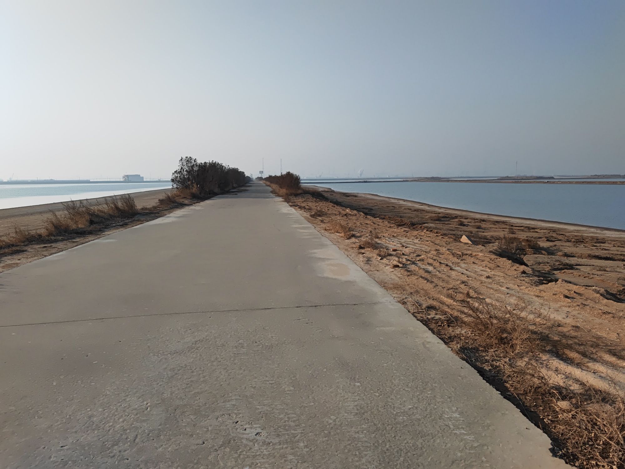滨州贝壳堤岛与湿地国家级自然保护区旅行图片 3