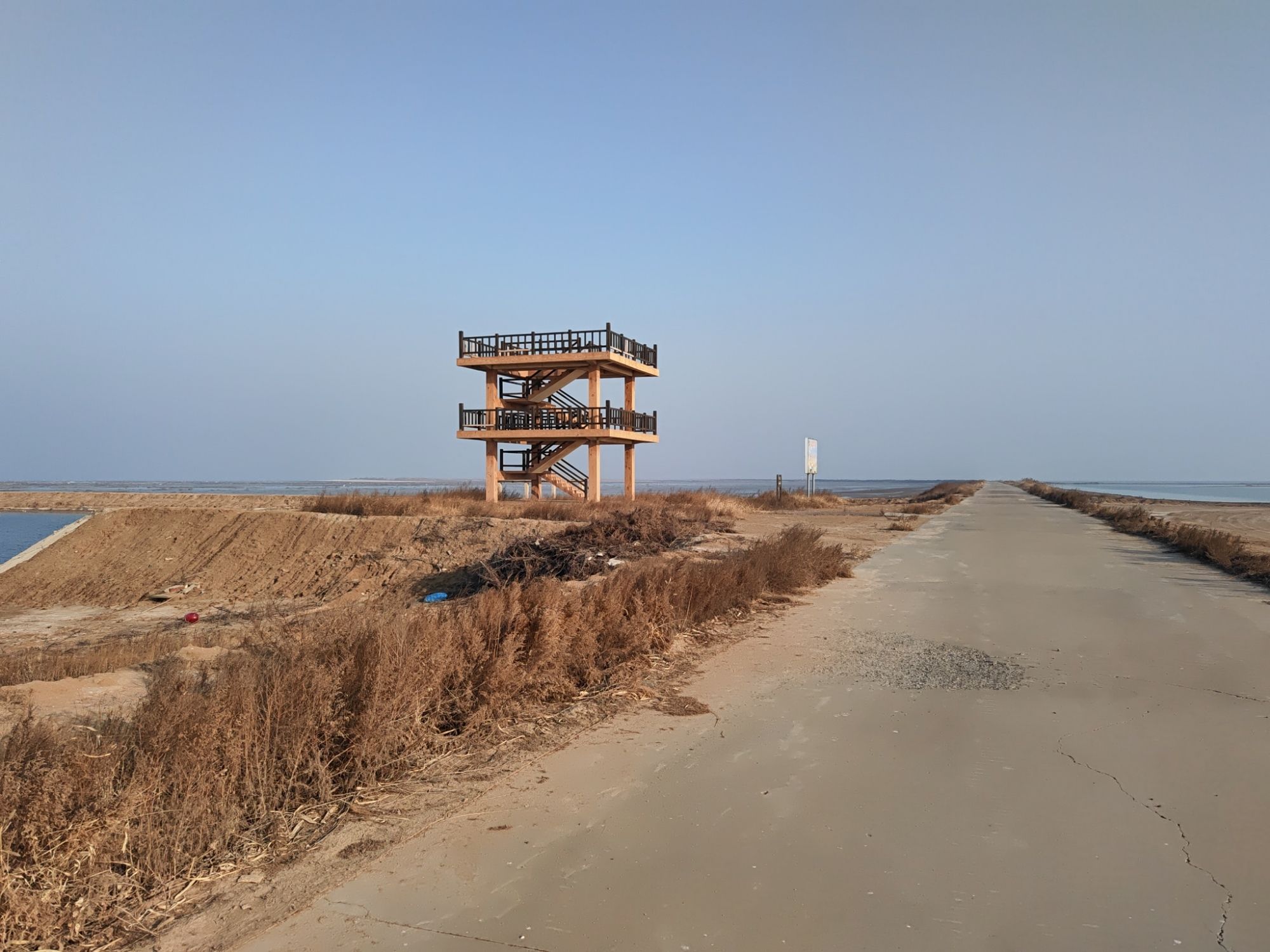 滨州贝壳堤岛与湿地国家级自然保护区旅行图片 1