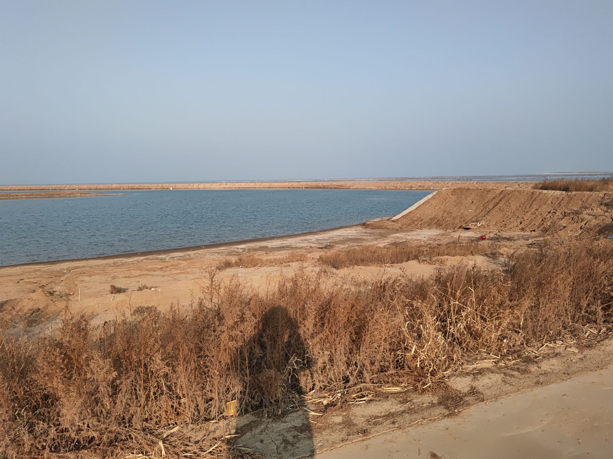 滨州贝壳堤岛与湿地国家级自然保护区旅行图片 2