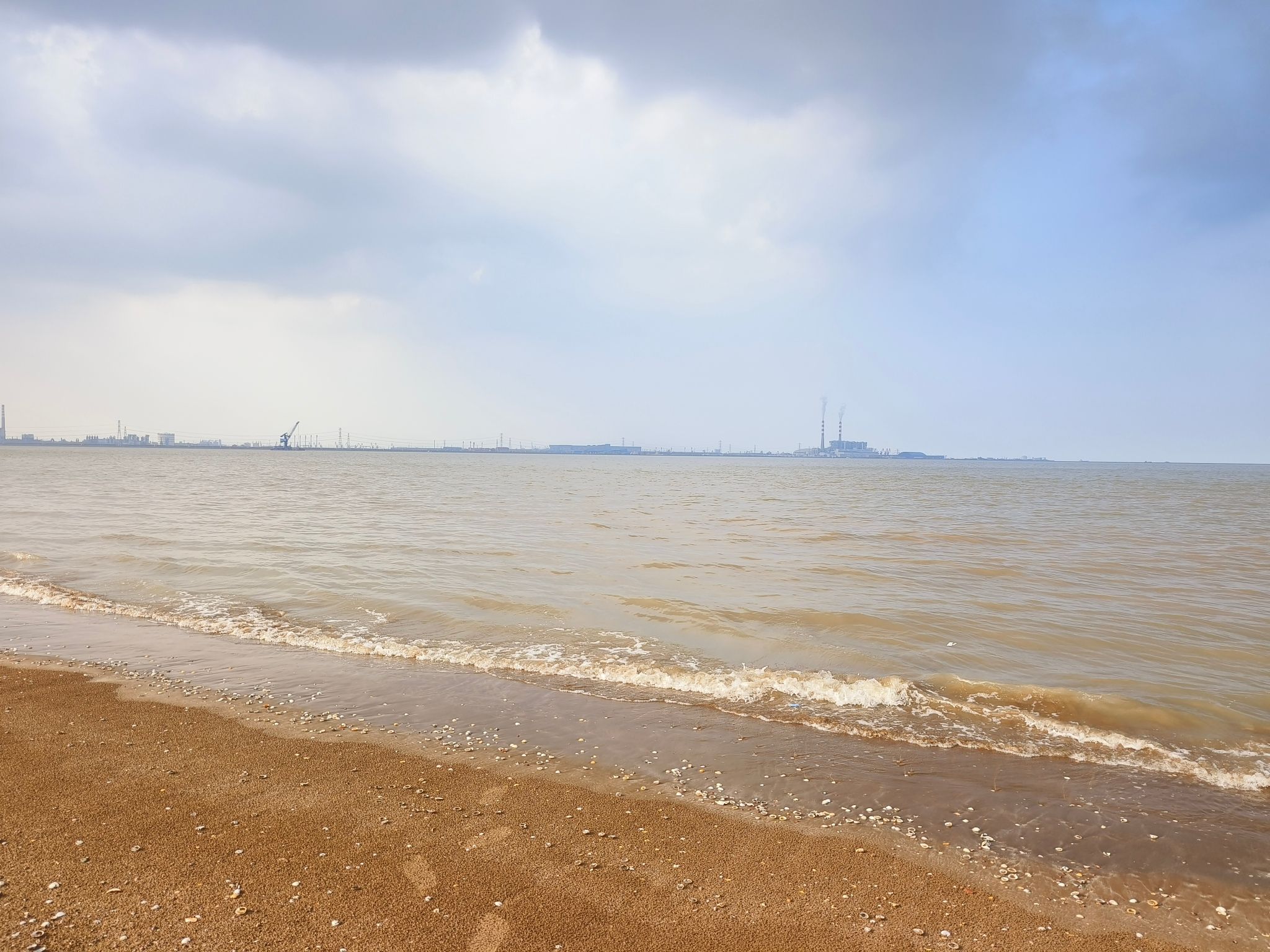 滨州贝壳堤岛与湿地国家级自然保护区旅行图片 3