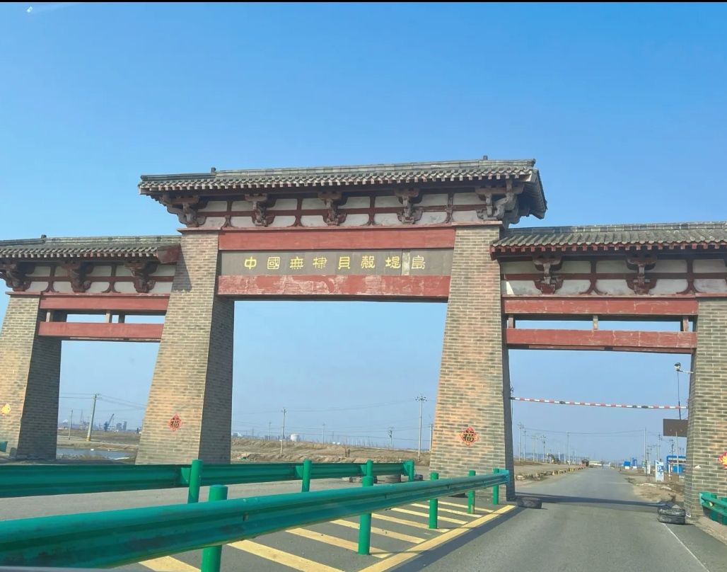滨州贝壳堤岛与湿地国家级自然保护区旅行图片 1