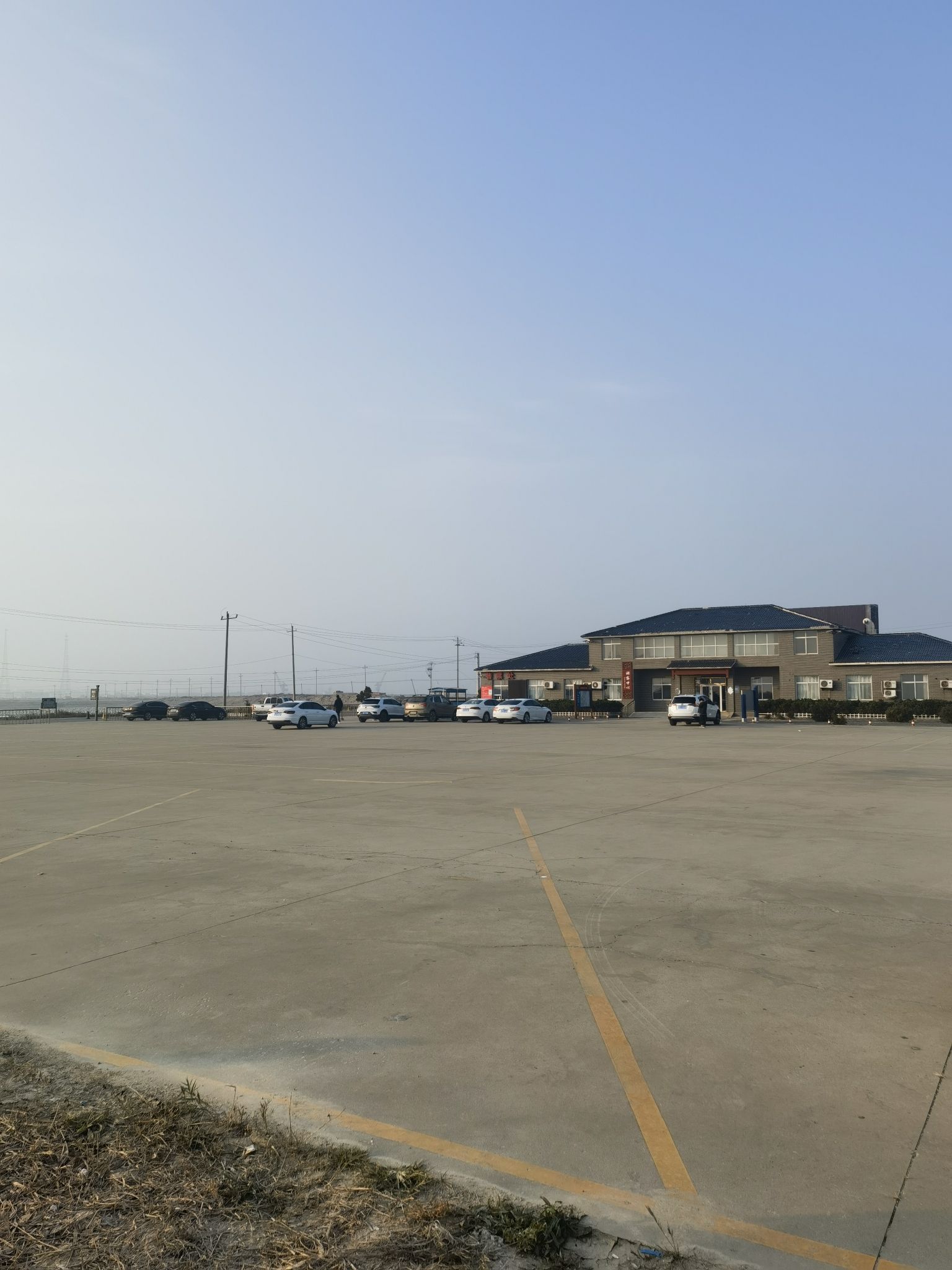 滨州贝壳堤岛与湿地国家级自然保护区旅行图片 1