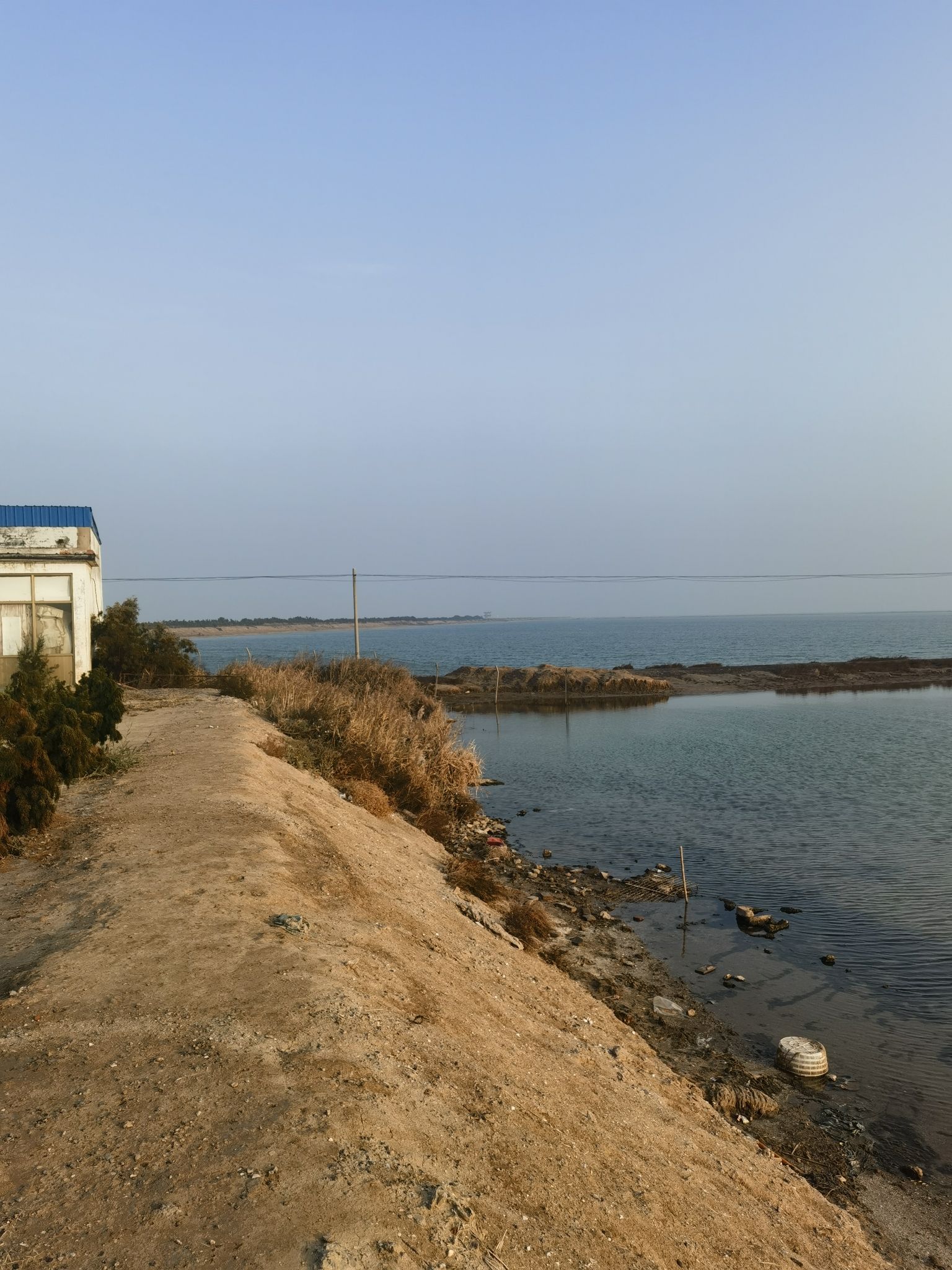 滨州贝壳堤岛与湿地国家级自然保护区旅行图片 2